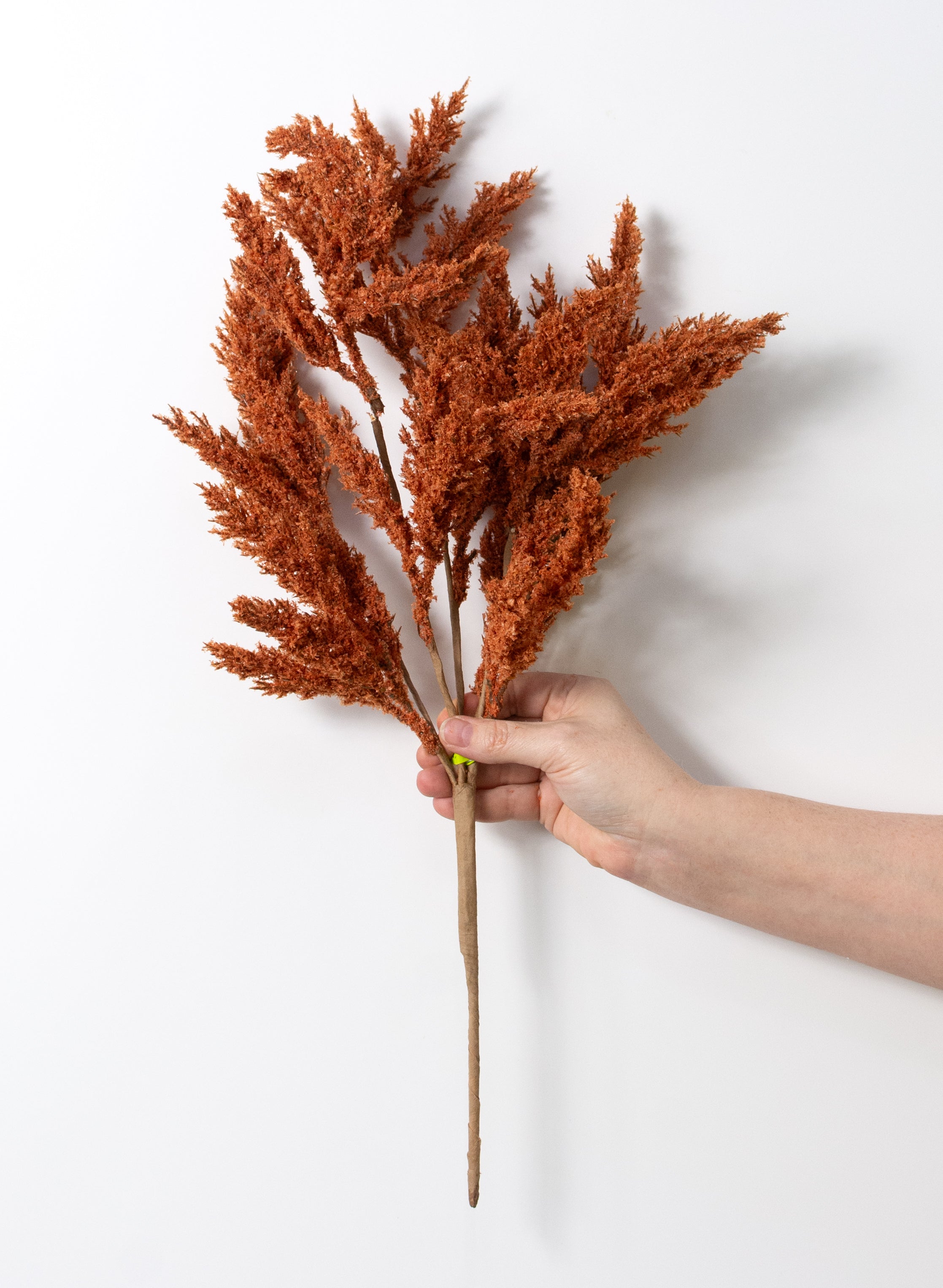 21" Feather Reed Bush: Rust Orange (5 Stem)