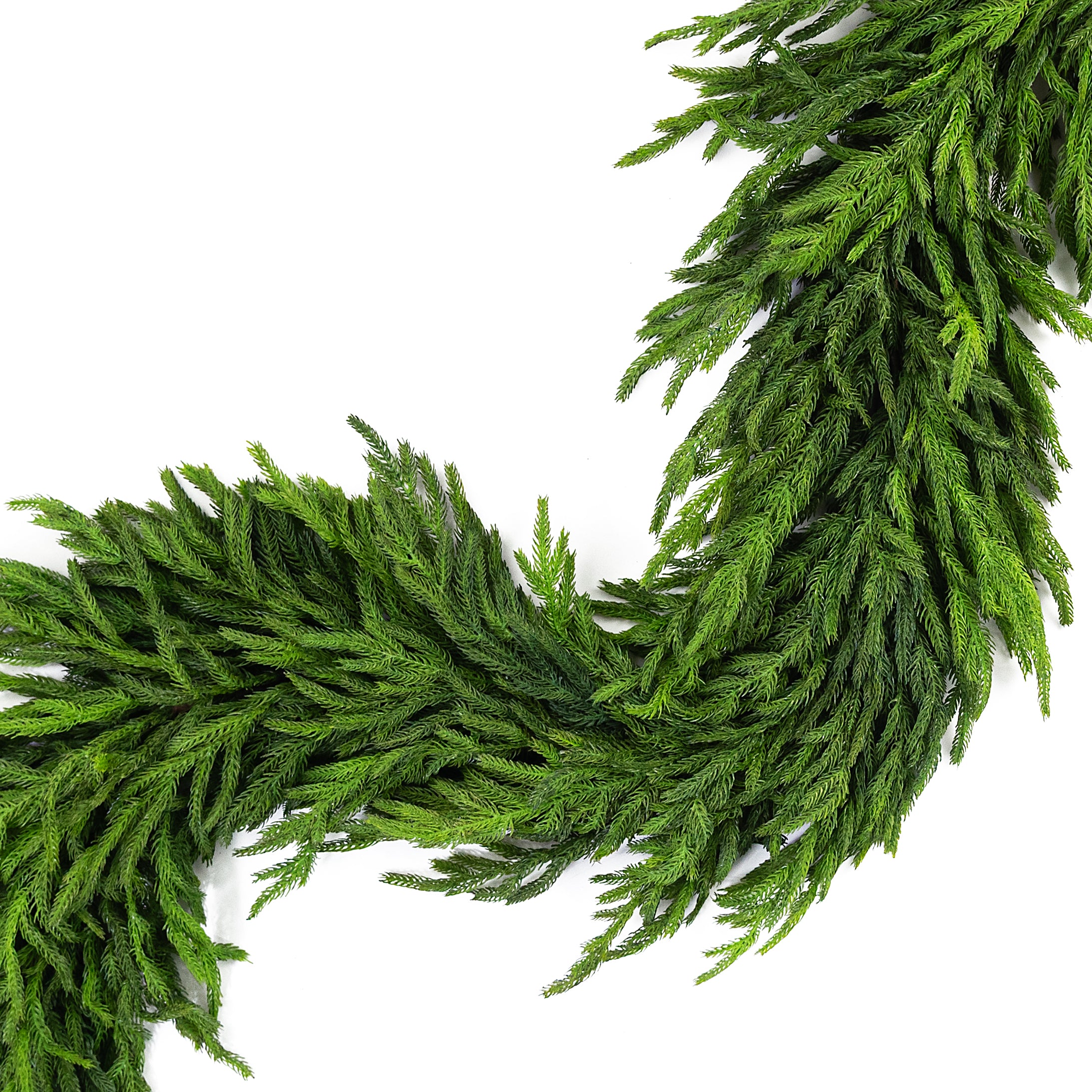 6' Real Touch Norfolk Pine Premium Full Garland