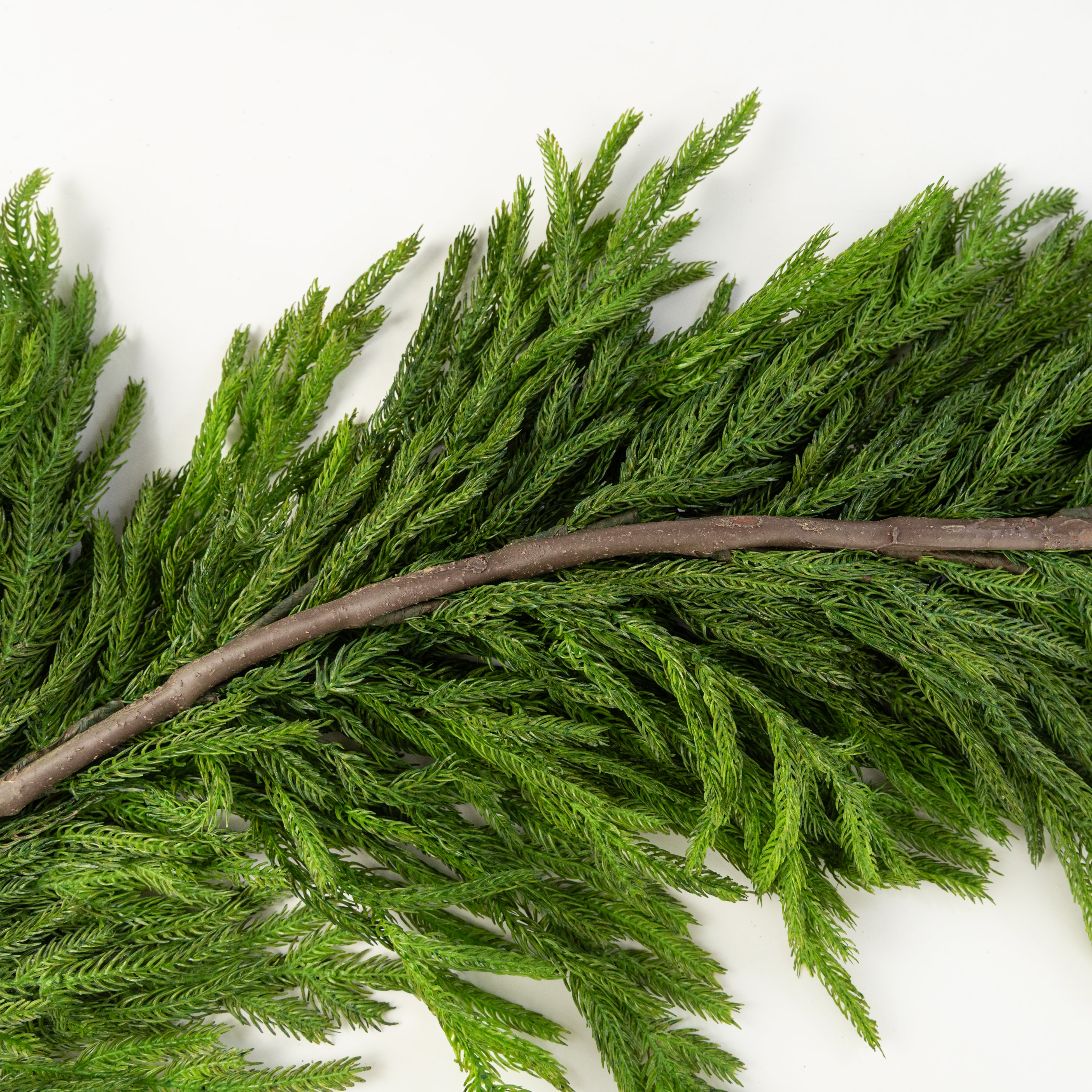 6' Real Touch Norfolk Pine Premium Full Garland