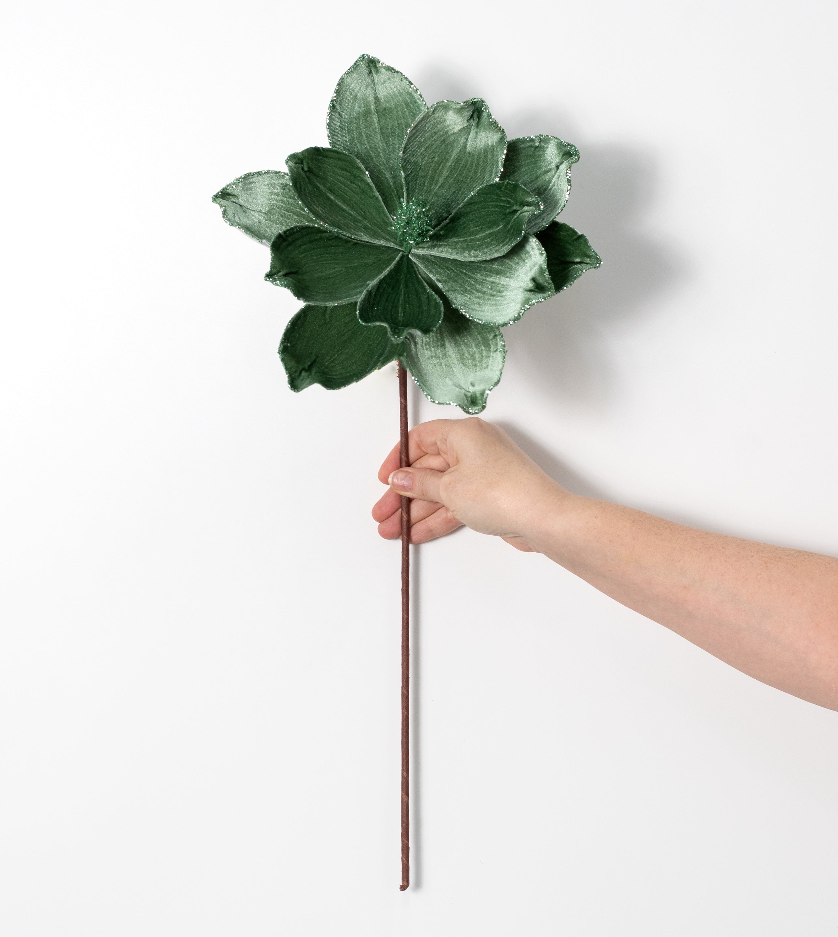 24" Velvet Magnolia Stem: Sage Green
