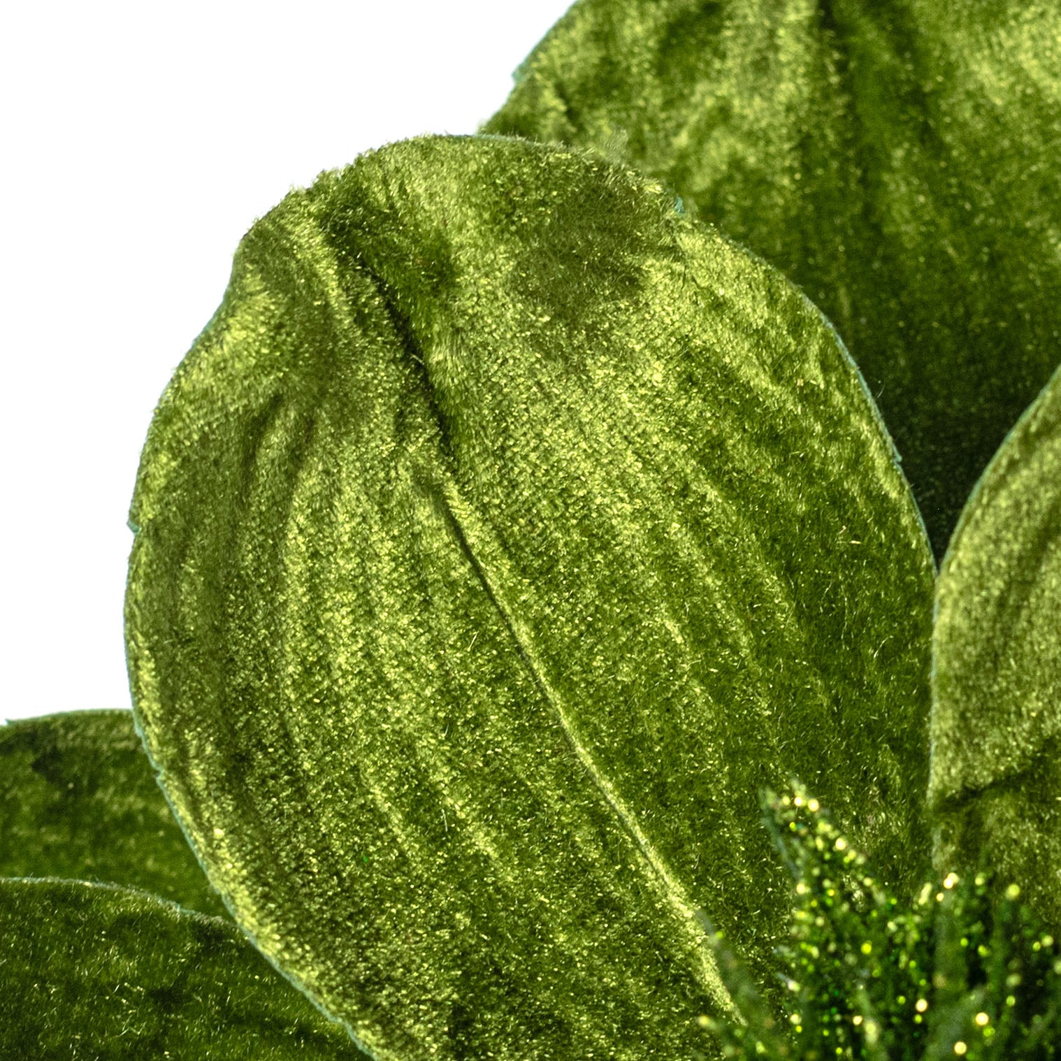 24" Velvet Magnolia Stem: Olive Green