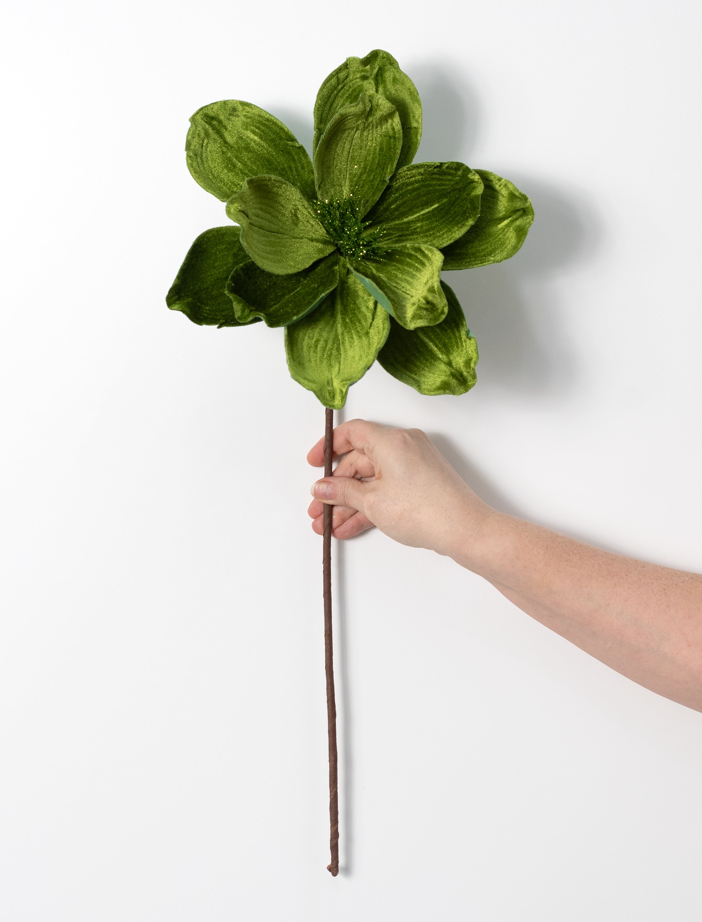 24" Velvet Magnolia Stem: Olive Green