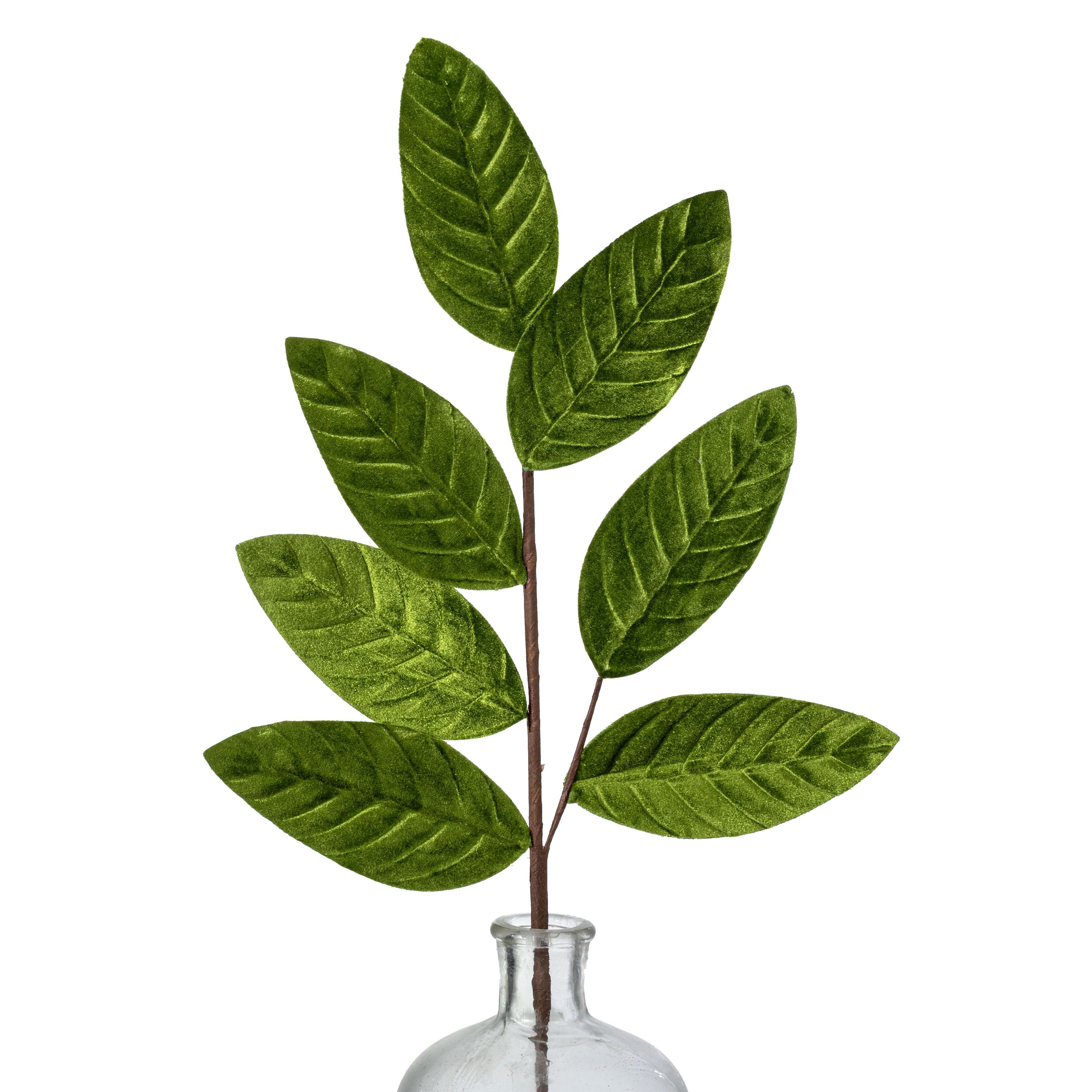 24" Velvet Magnolia Leaves Spray: Sage Green