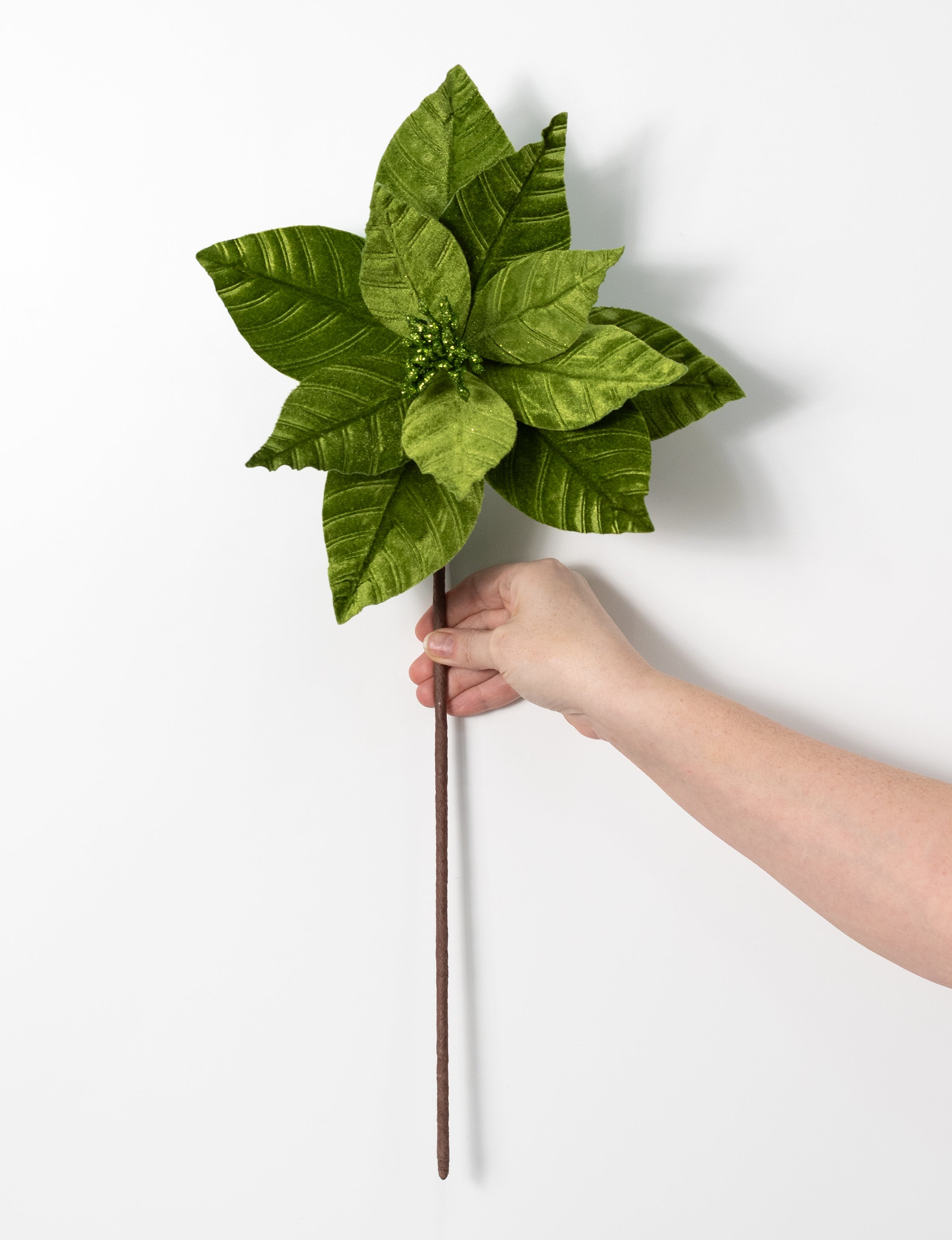 24" Velvet Poinsettia Stem: Olive Green