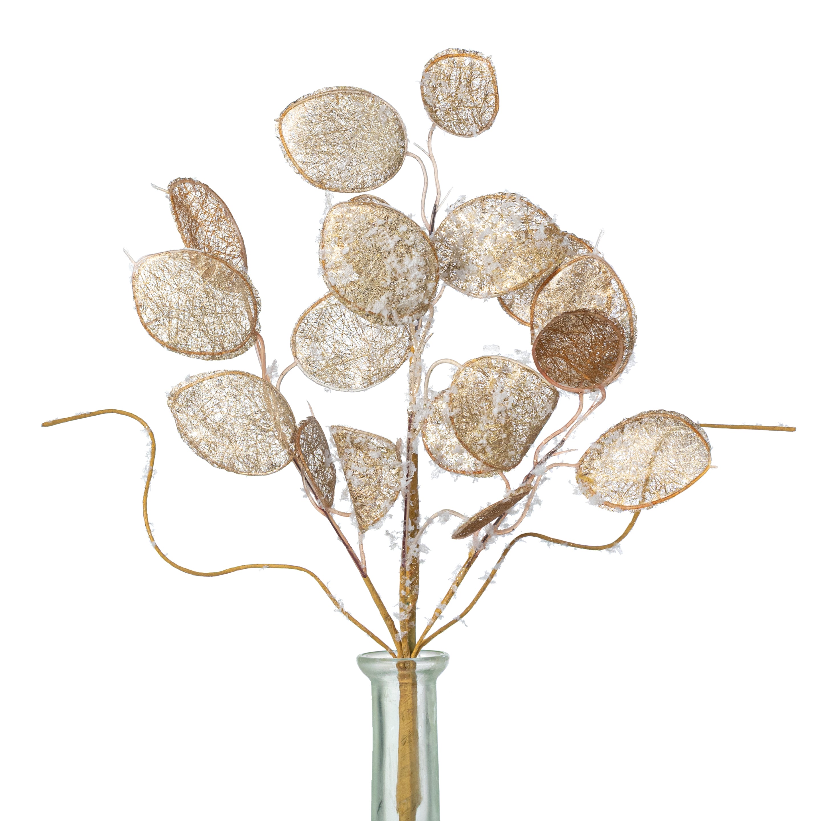 14in Faux Lunaria Silver Dollar Pick: Champagne Gold
