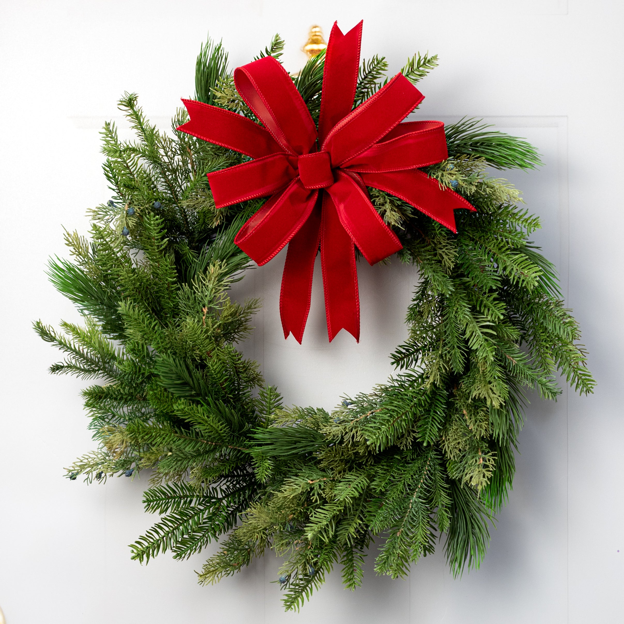 24" Belgium Pine Wreath: Evergreen (54 Tips)