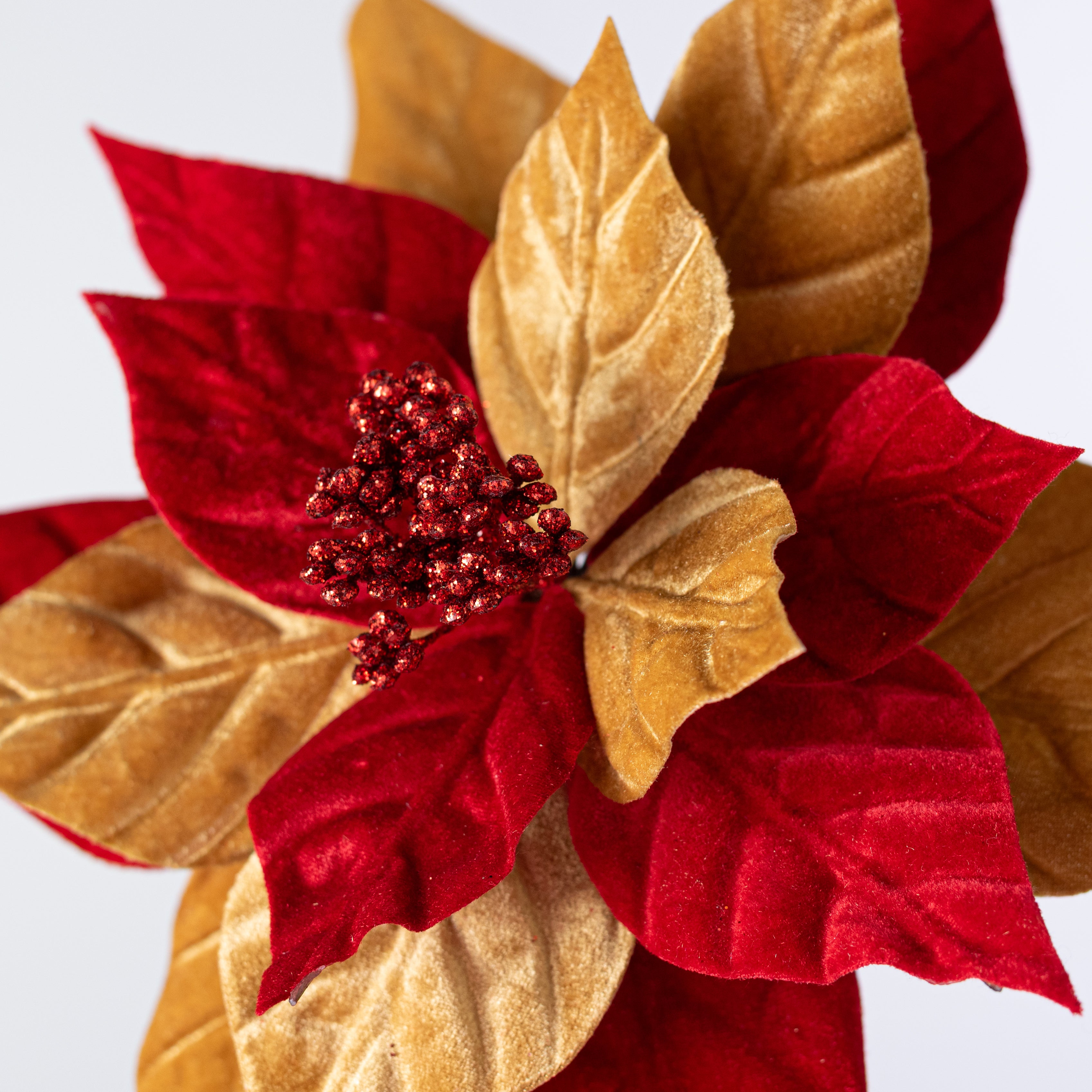 11" x 22" Velvet Peppermint Poinsettia Stem: Red & Gingerbread Gold