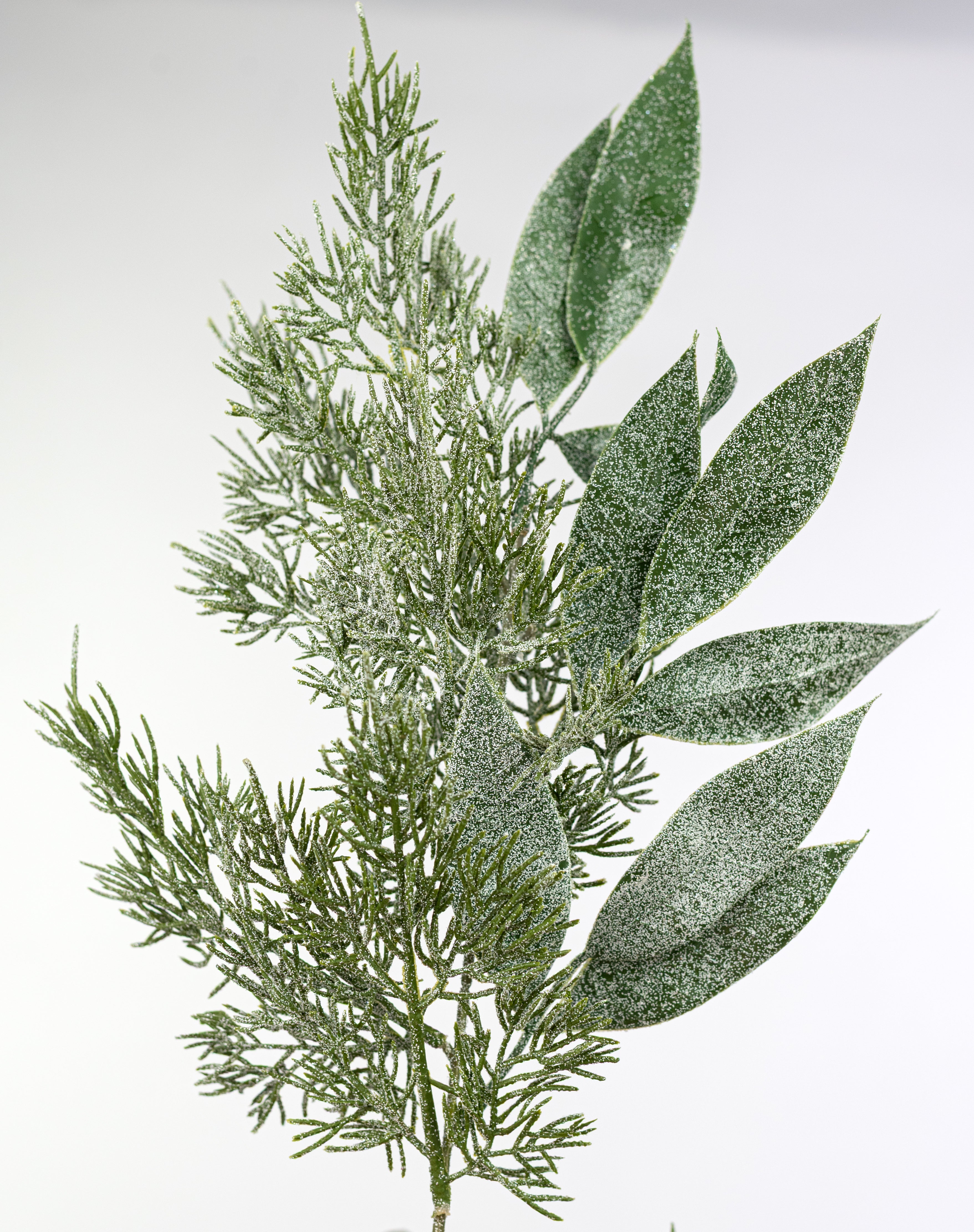 21" Mixed Cypress & Olive Leaves Bush