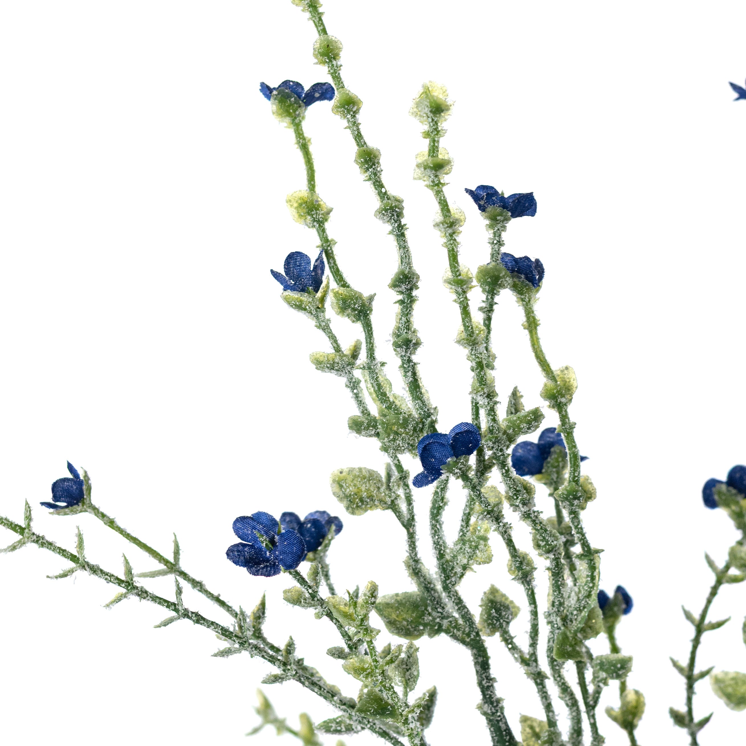 ベイビーリーフ 18