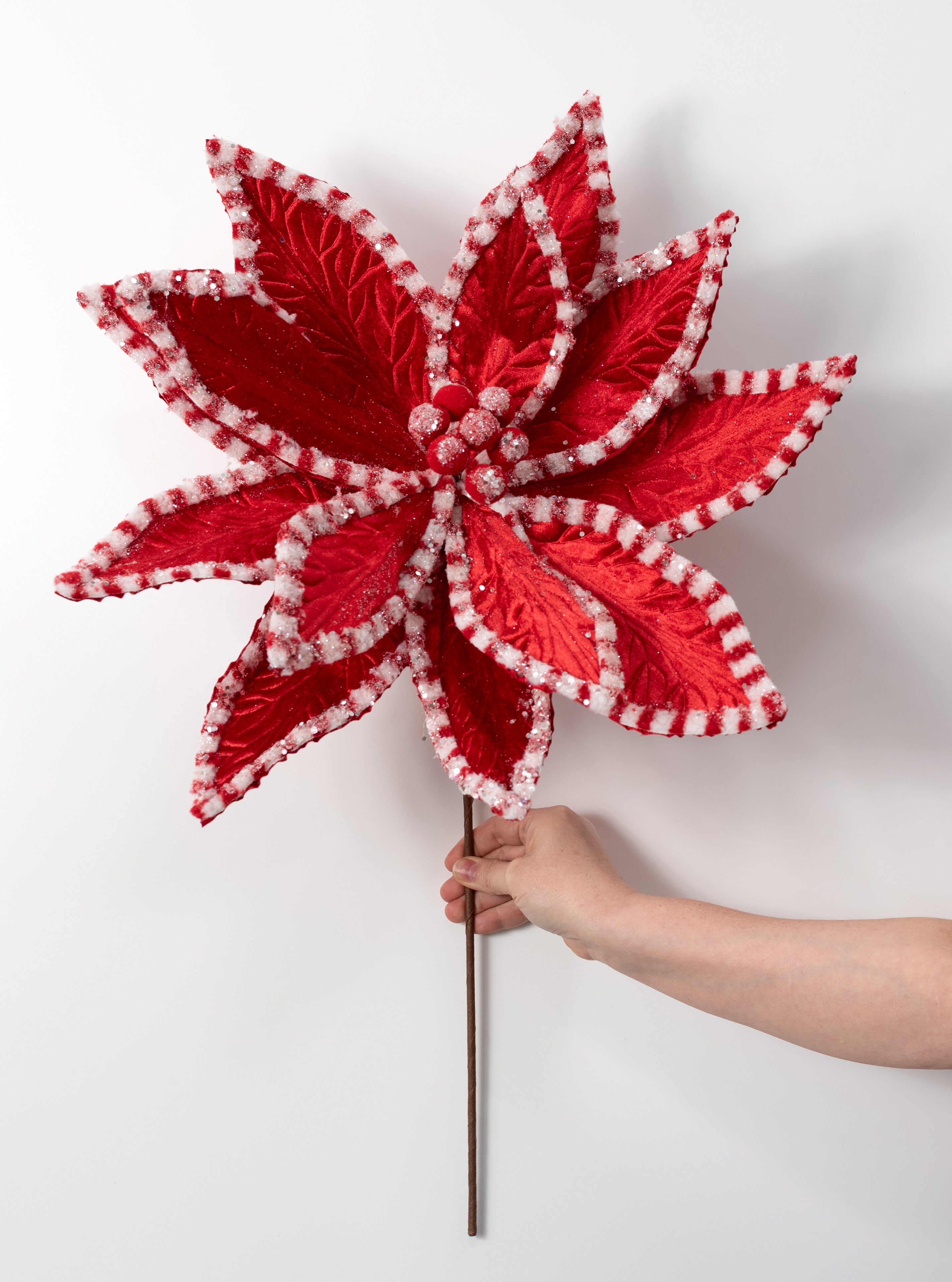 20" x 29" Jumbo Velvet Peppermint Poinsettia Stem: Red & White