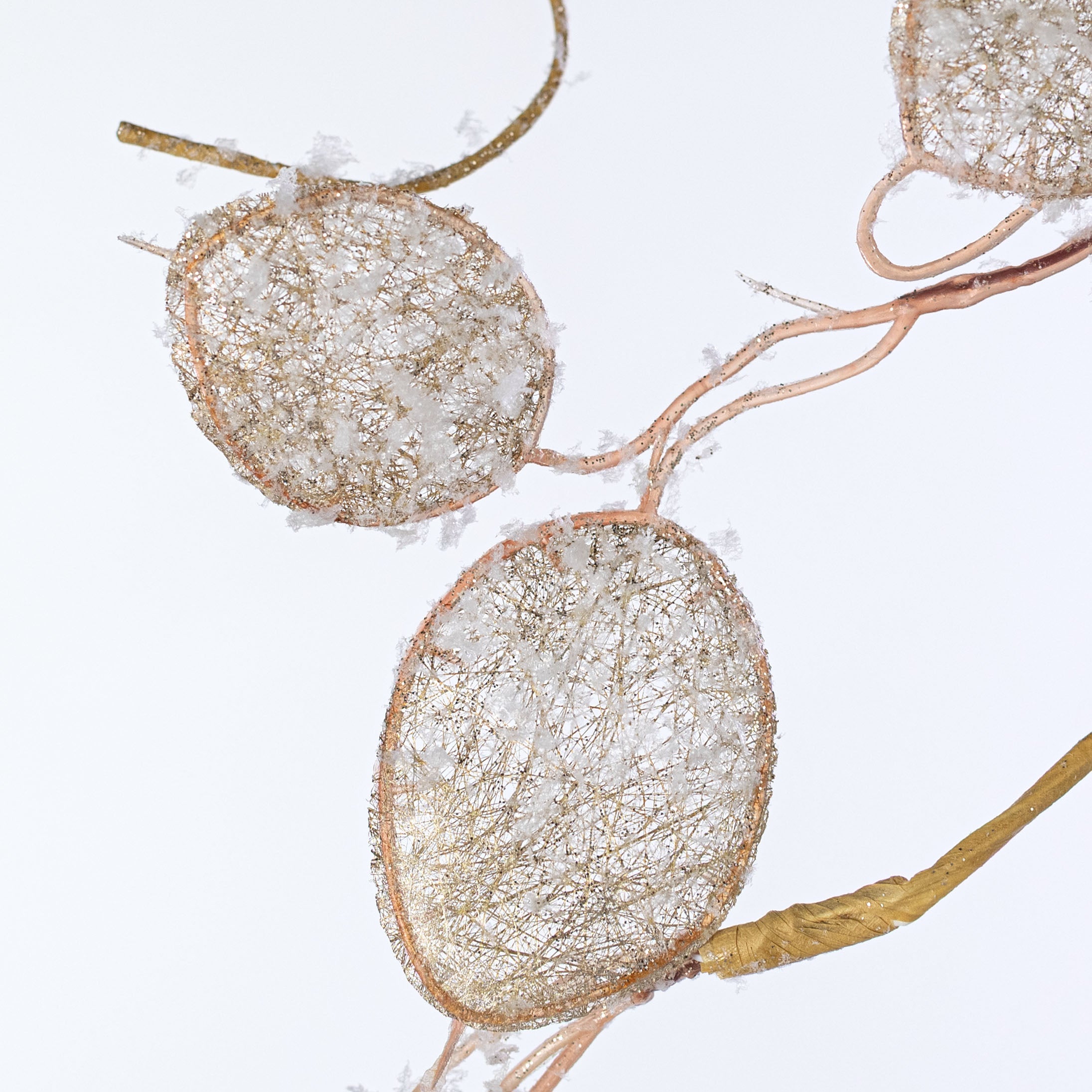 5' Faux Lunaria Silver Dollar Garland: Champagne Gold
