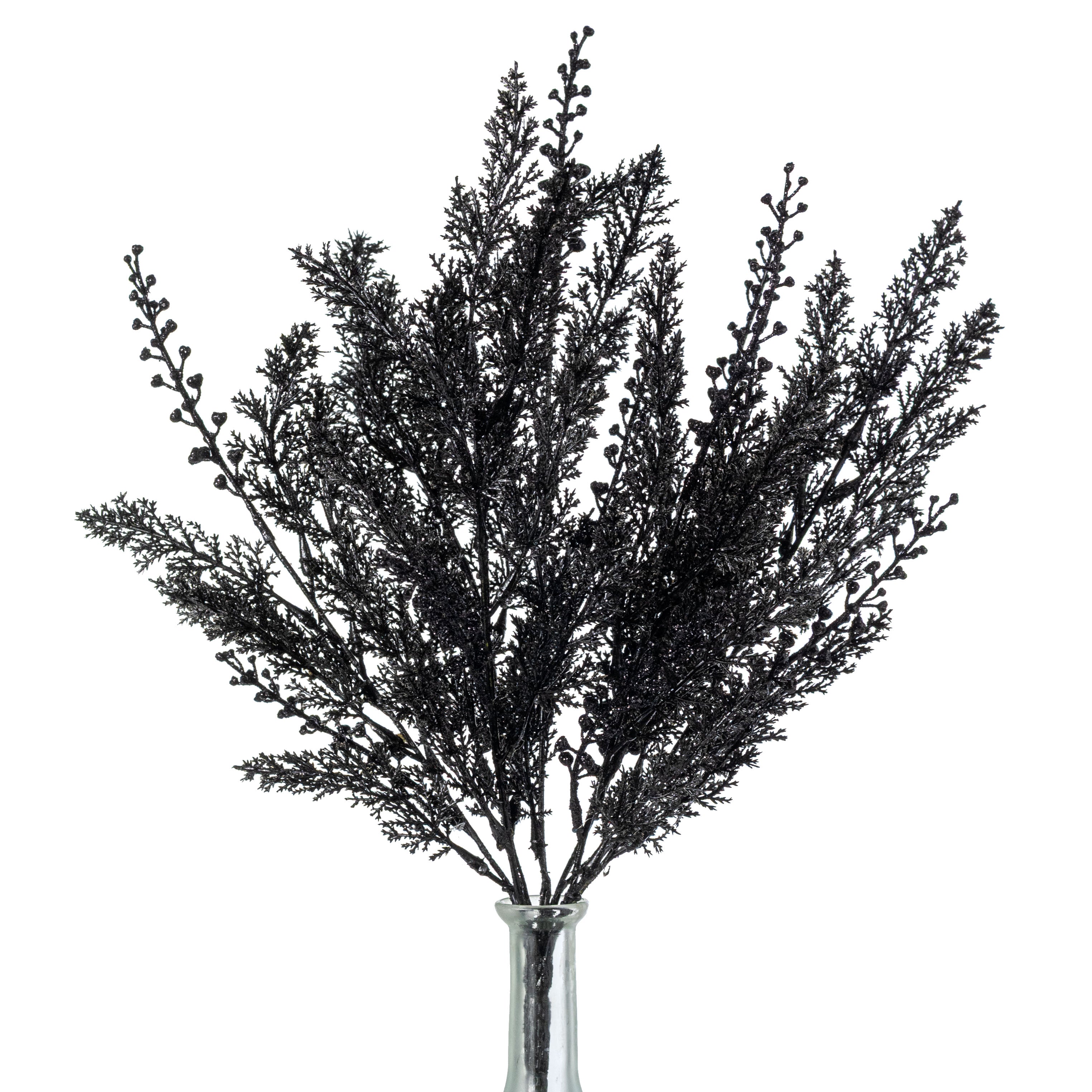 19" Glittered Cypress & Seed Pod Bush: Black
