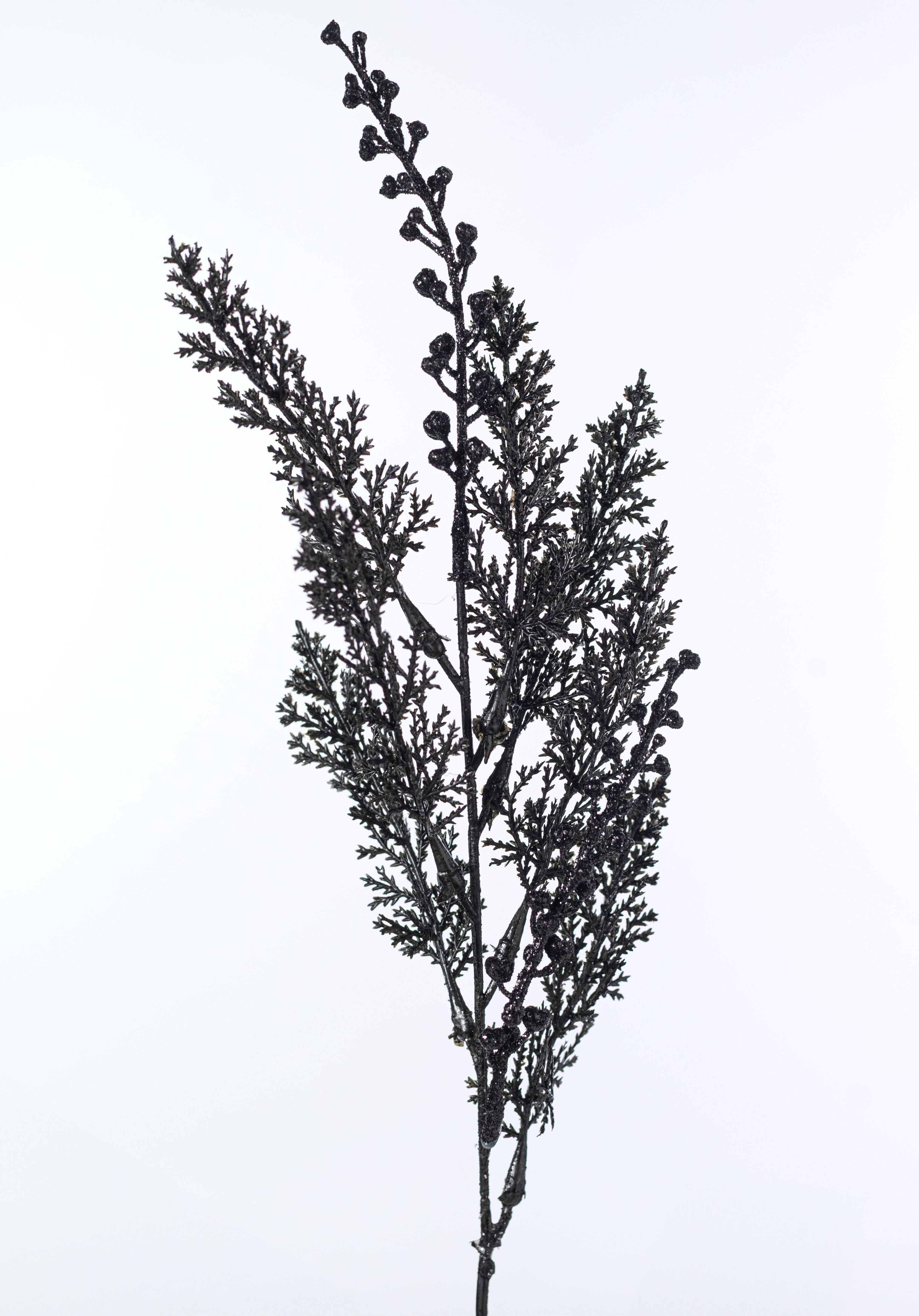 19" Glittered Cypress & Seed Pod Bush: Black