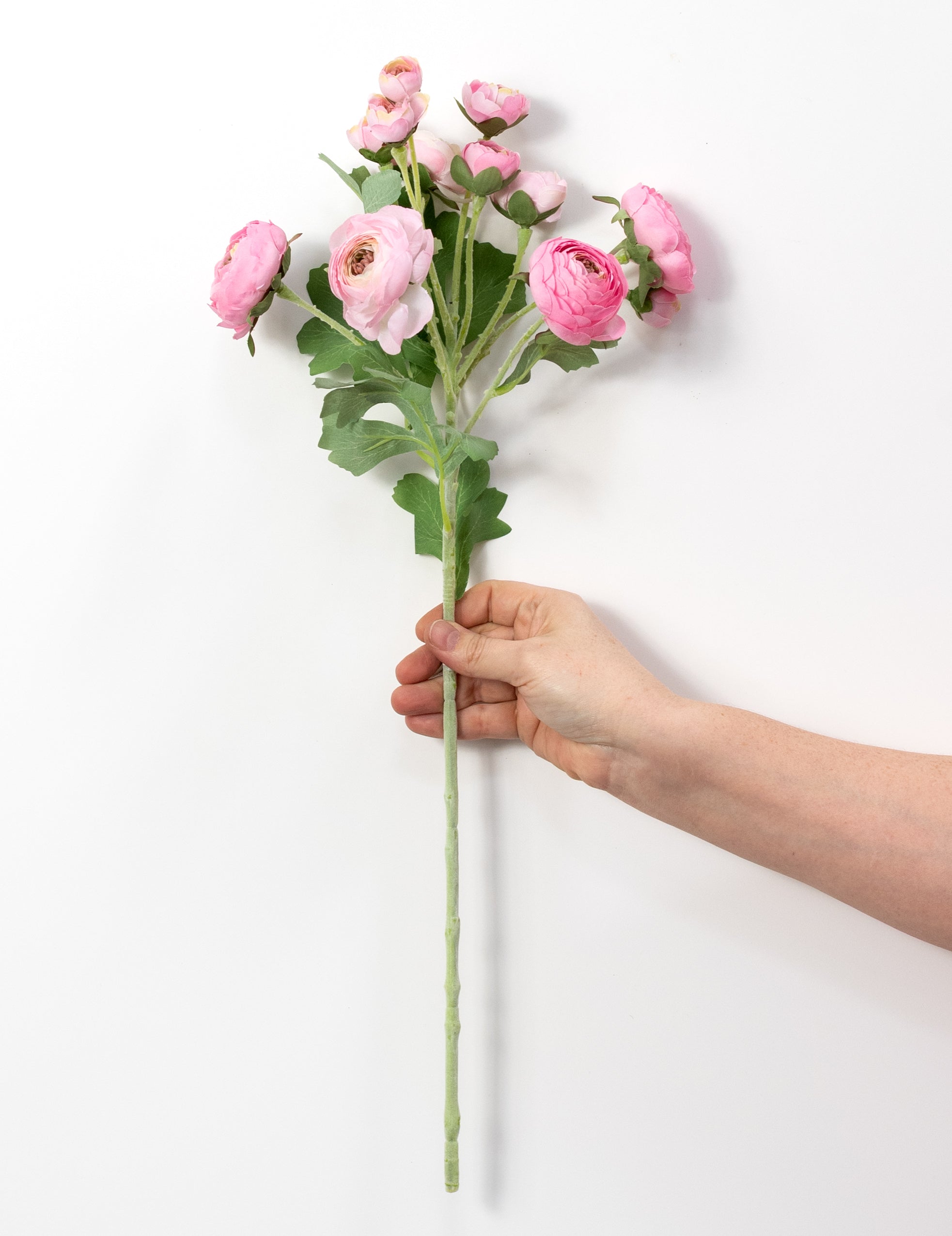 ranunculus様 リクエスト 2点 まとめ商品 Send Pastel Specialty Ranunculus | Online Flower Delivery