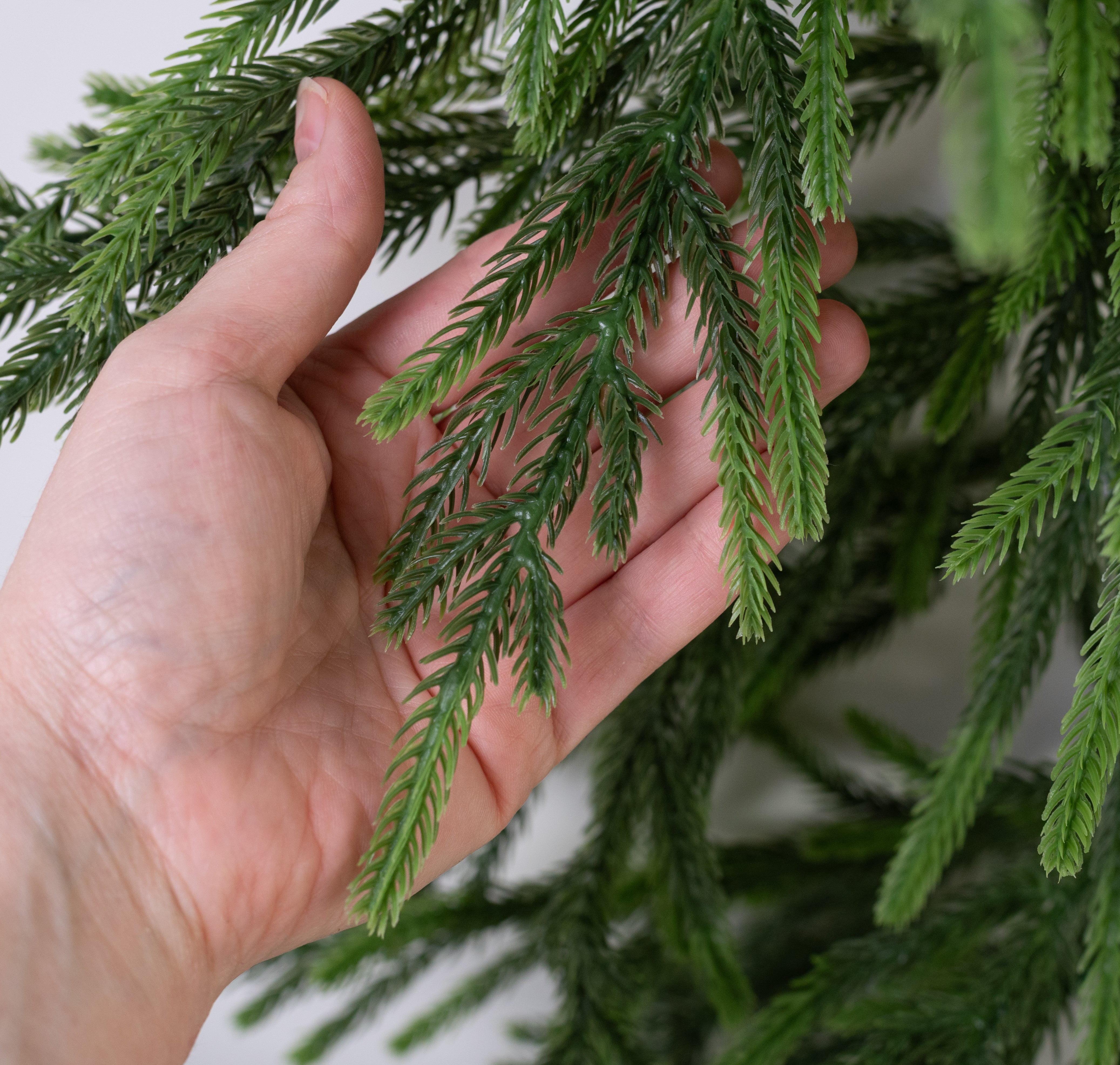 6' Norfolk Pine Garland (120 Tip)