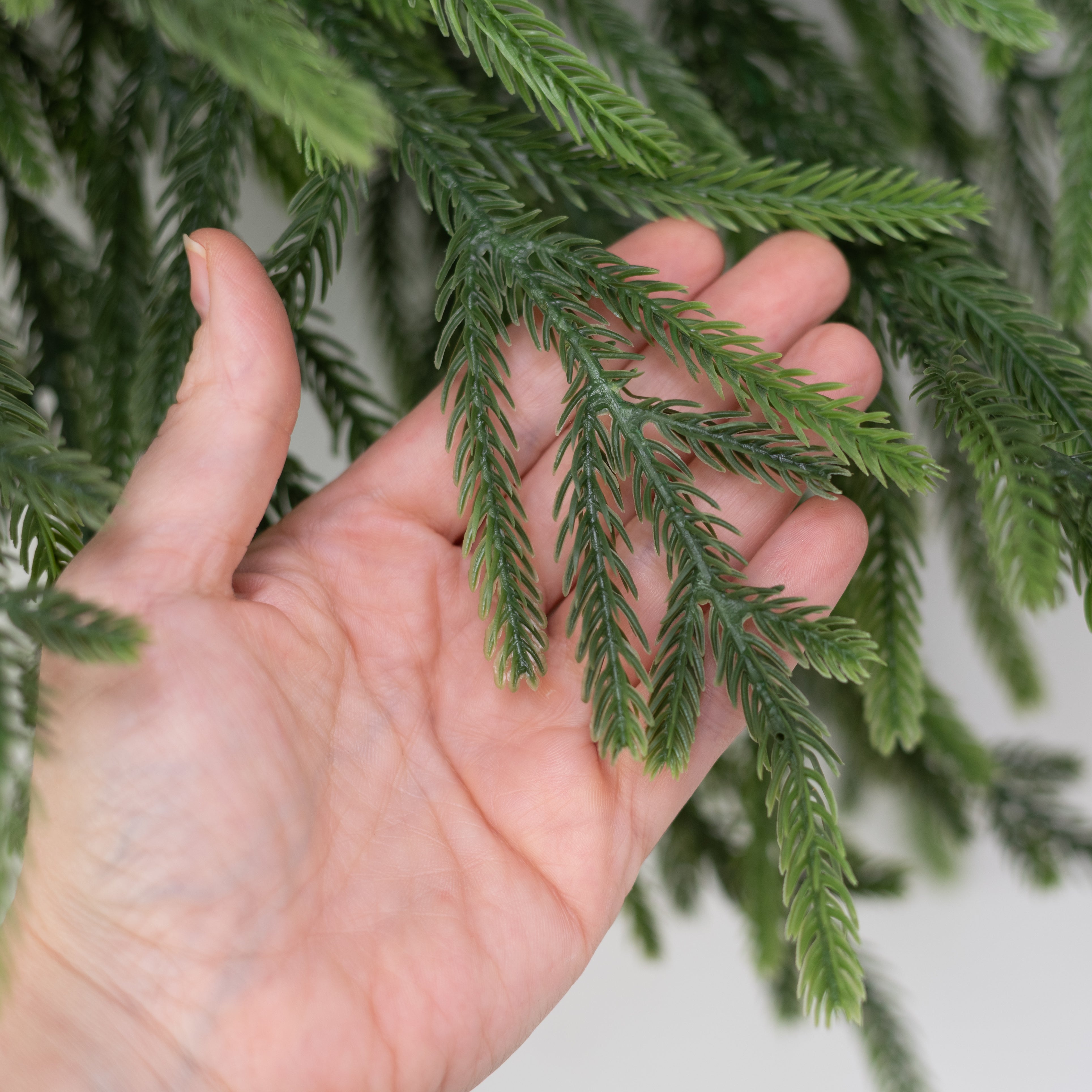 9' Norfolk Pine Garland (180 Tip)