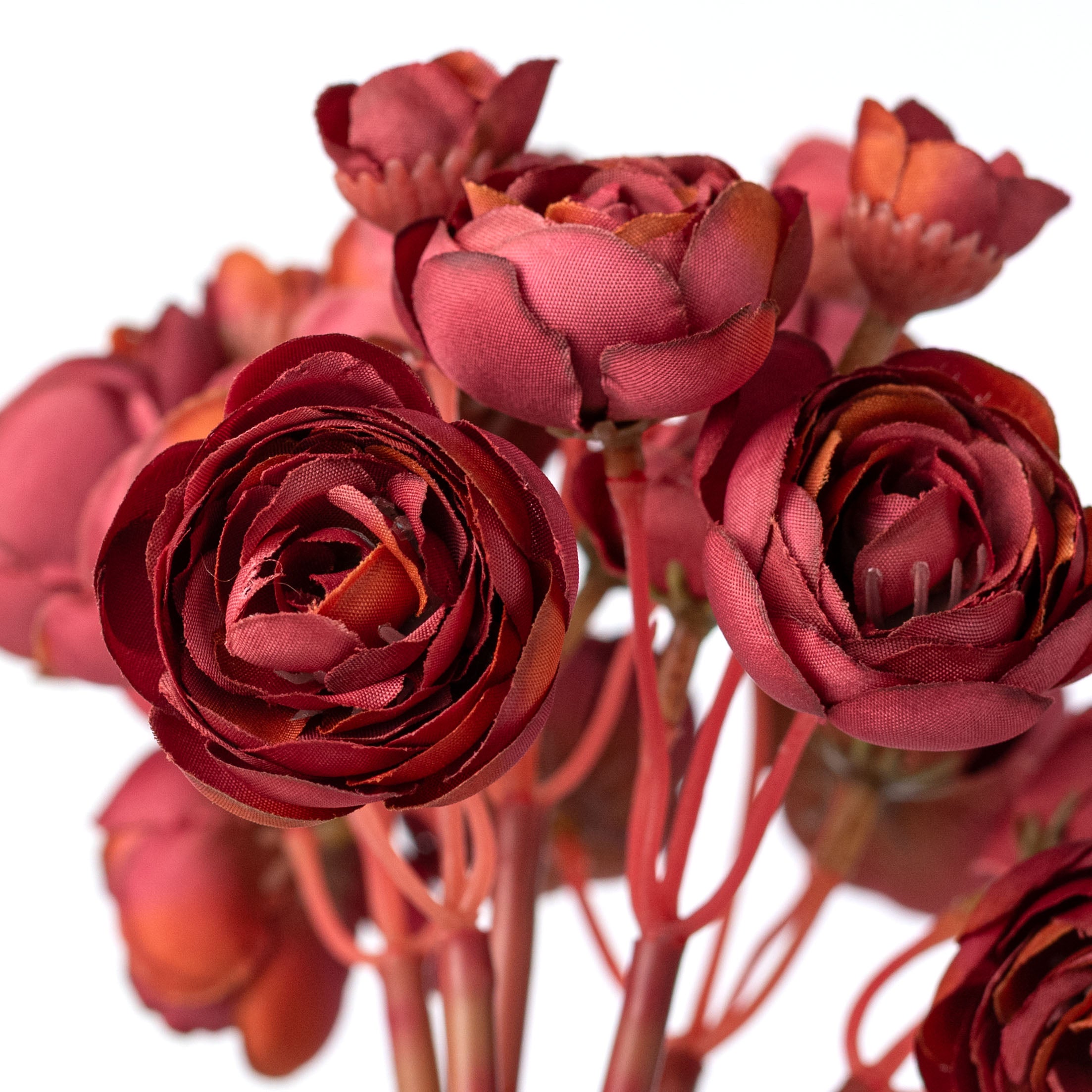 11" Mini Ranunculus Bundle: Burgundy Red