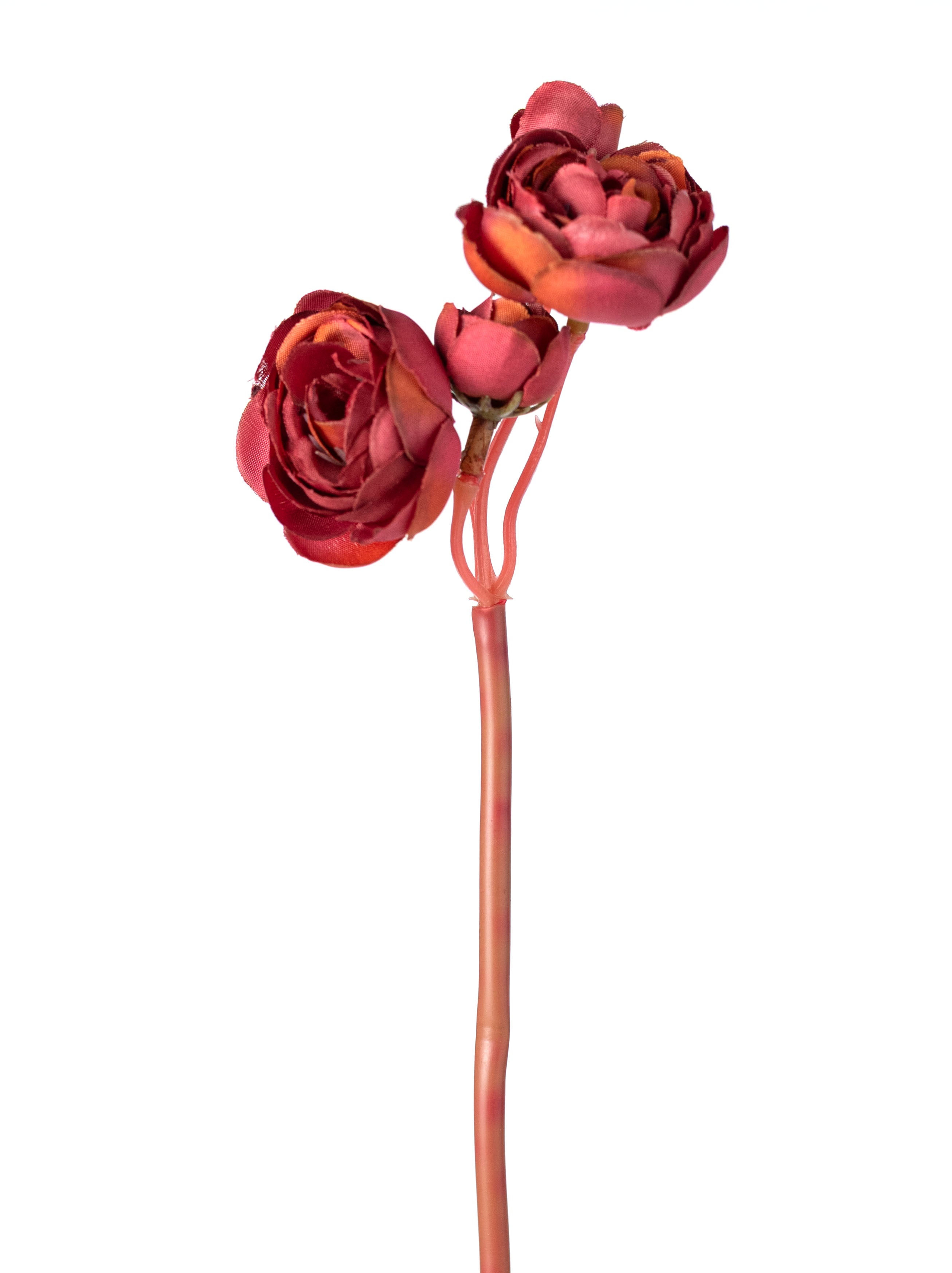 11" Mini Ranunculus Bundle: Burgundy Red