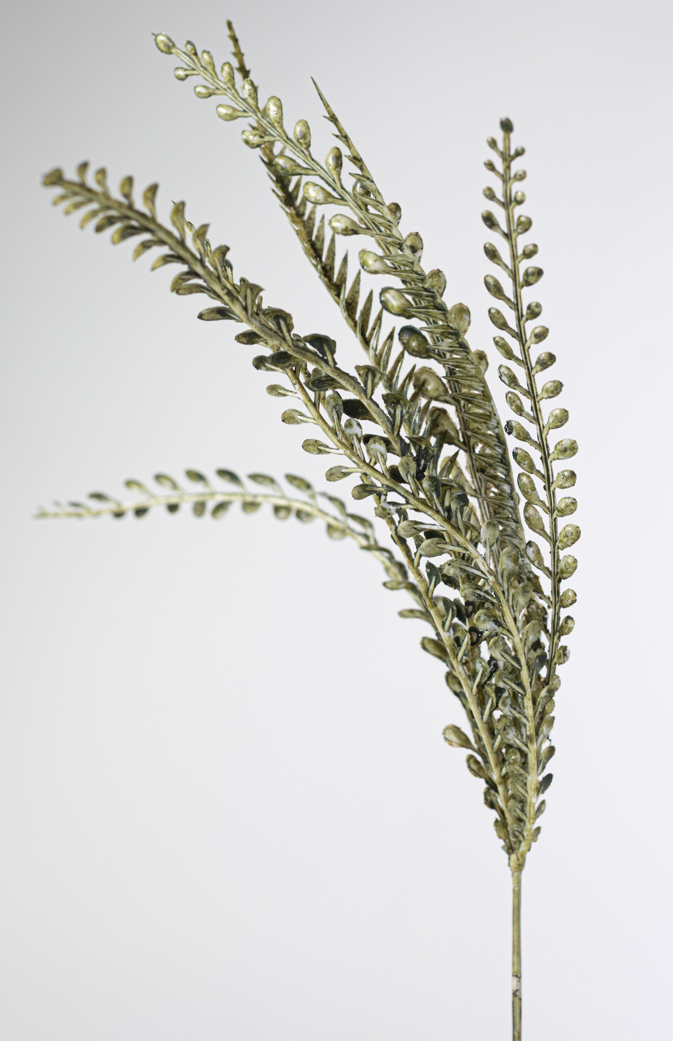 17" Button Sword Fern Bush: White Wash Moss Green