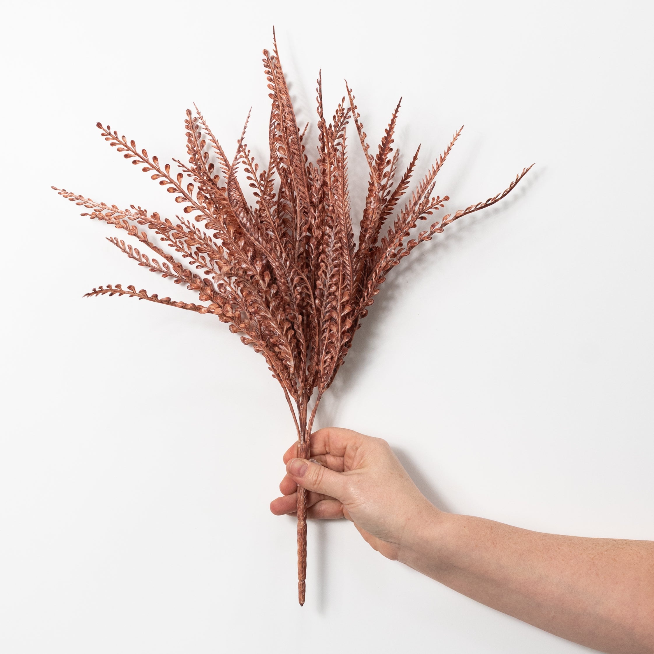 17" Button Sword Fern Bush: White Wash Rust