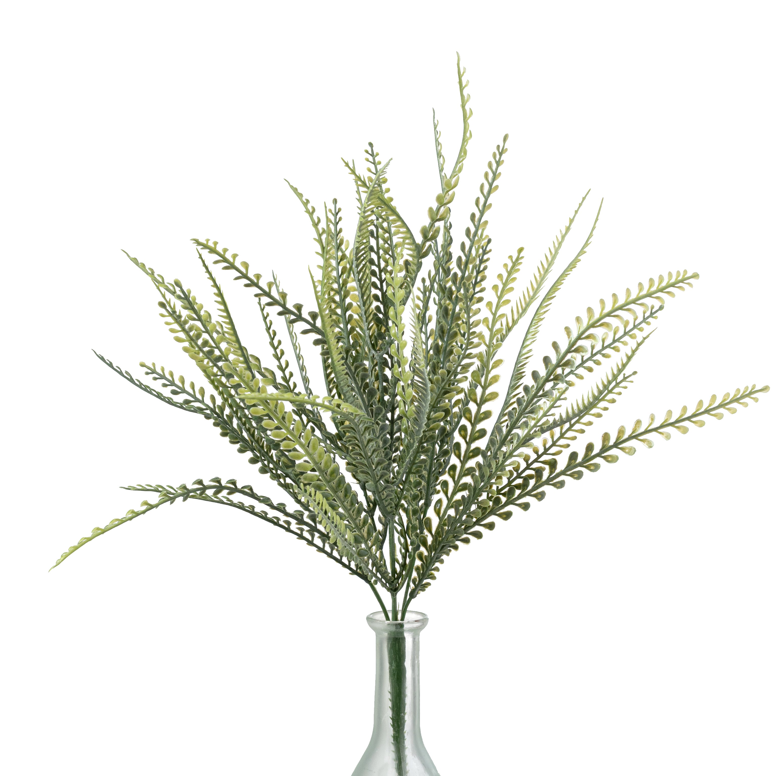 17" Button Sword Fern Bush: Two Tone Fresh Green