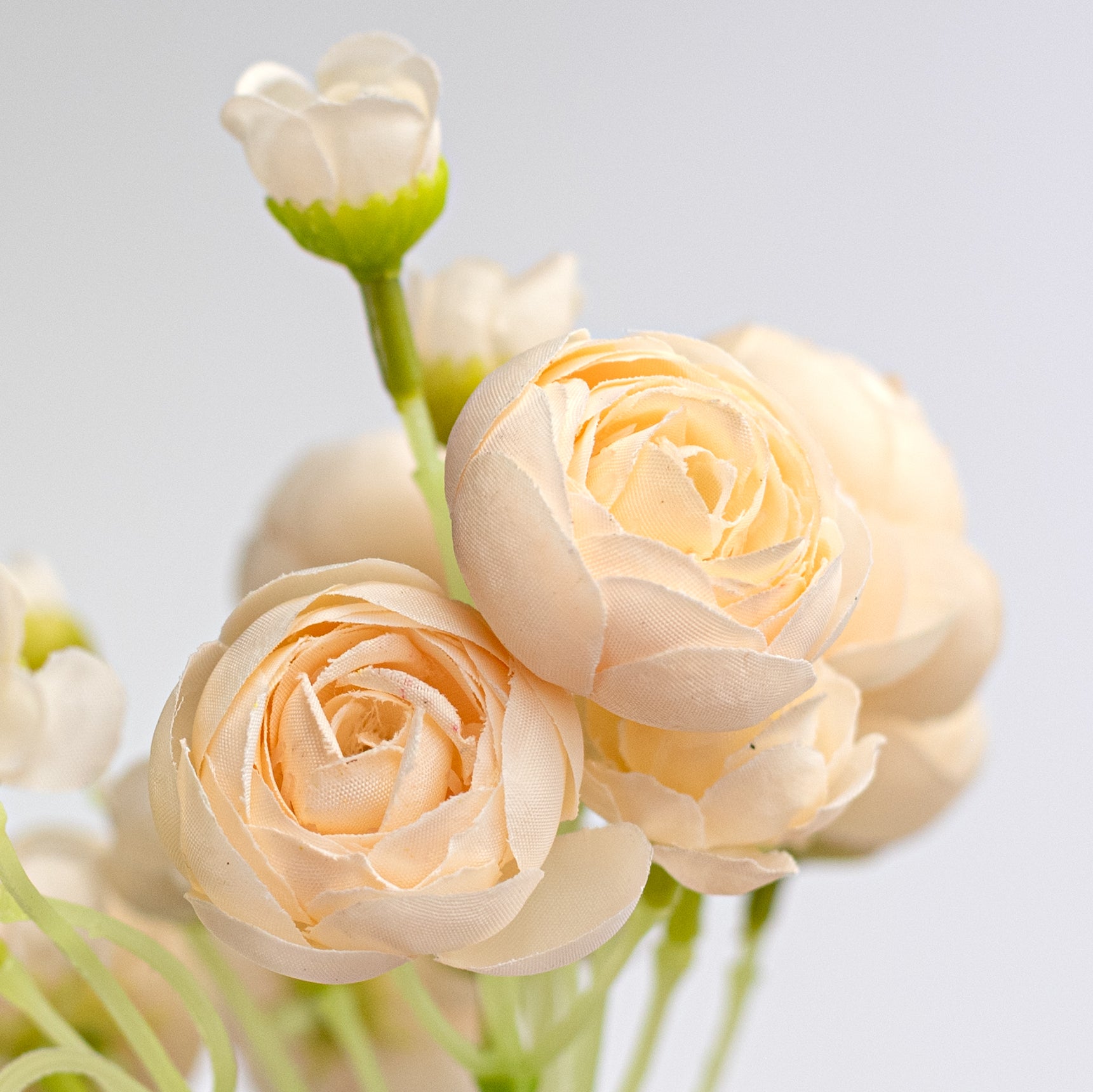 11" Mini Ranunculus Bundle: Cream