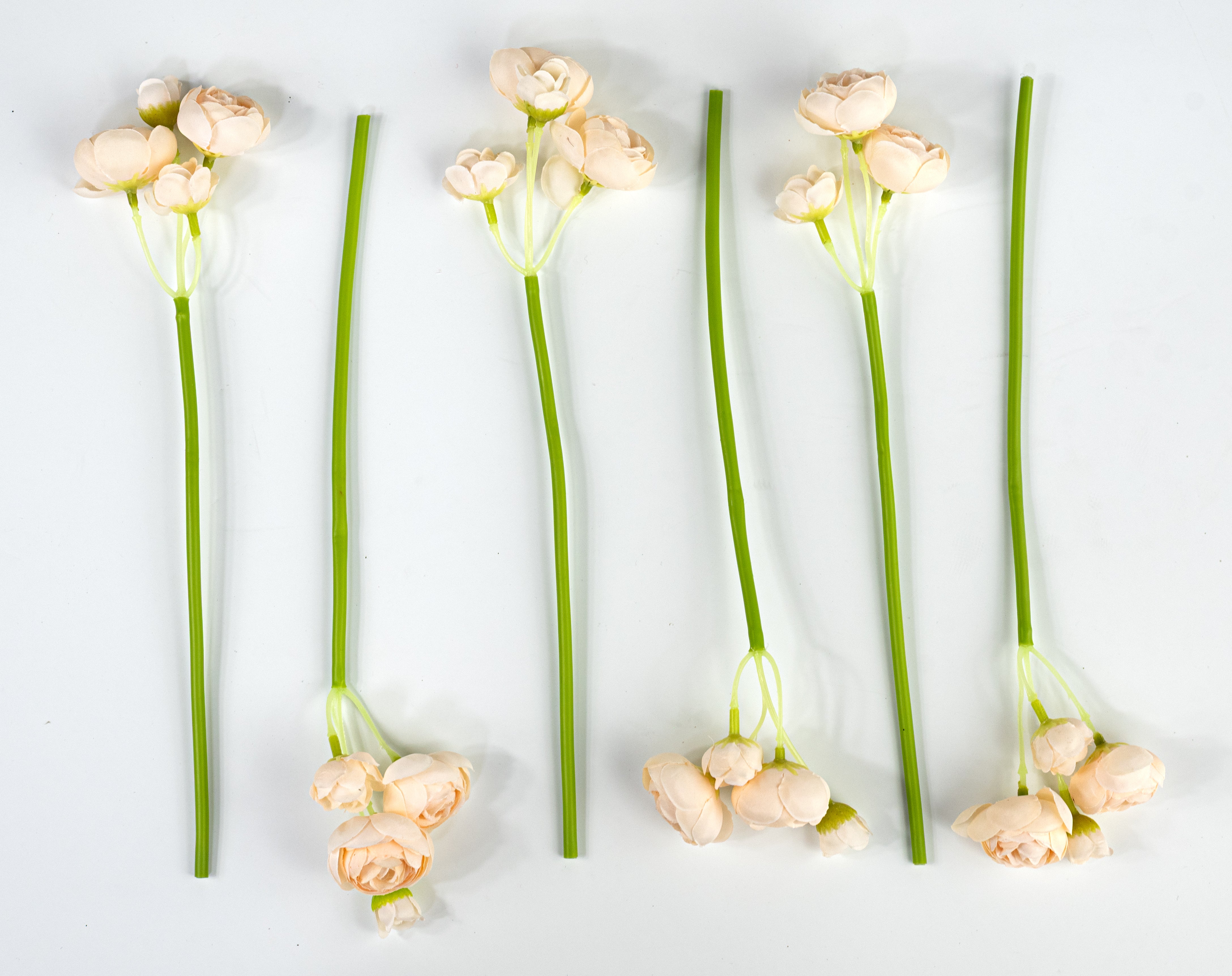 11" Mini Ranunculus Bundle: Cream