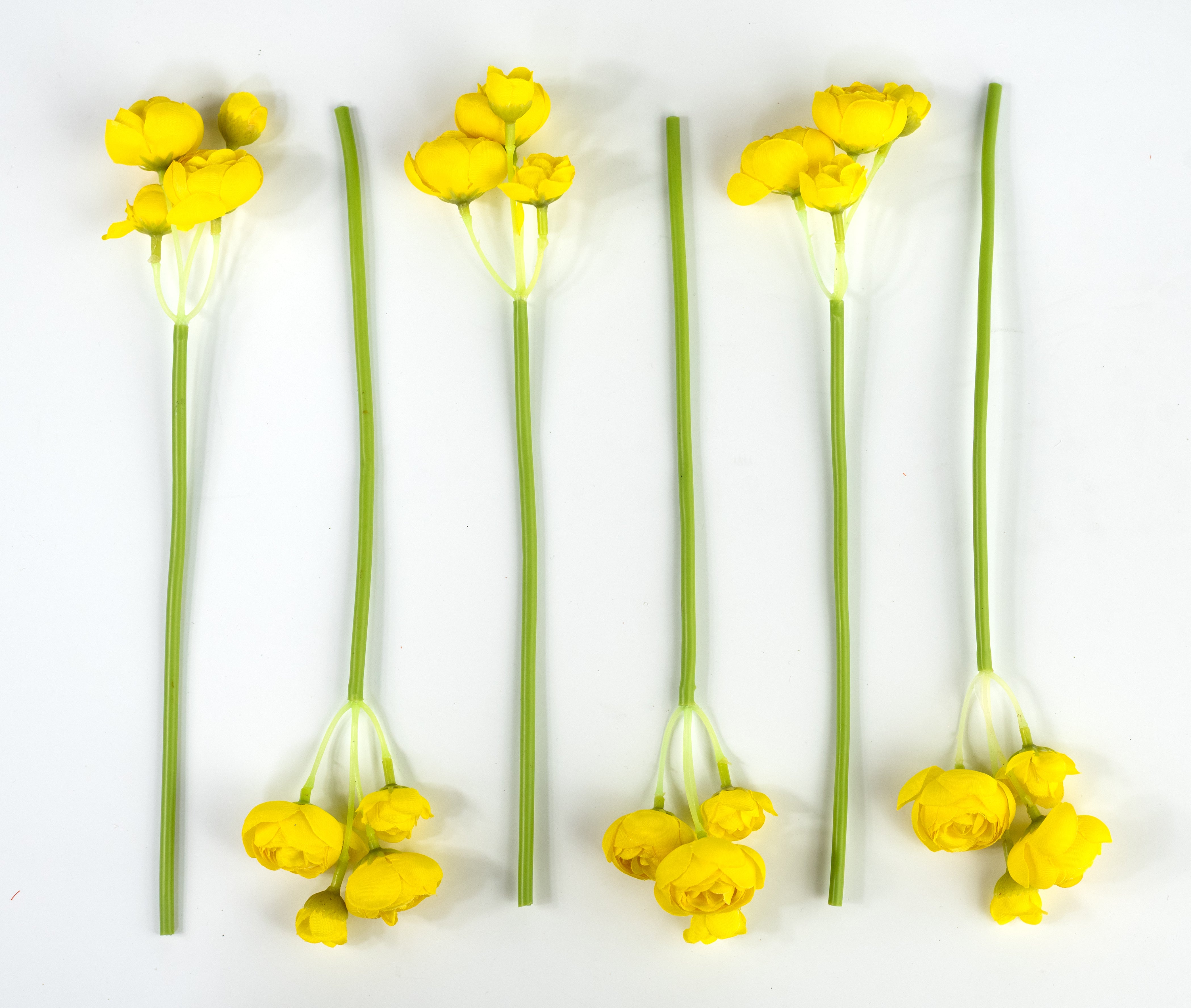 11" Mini Ranunculus Bundle: Yellow