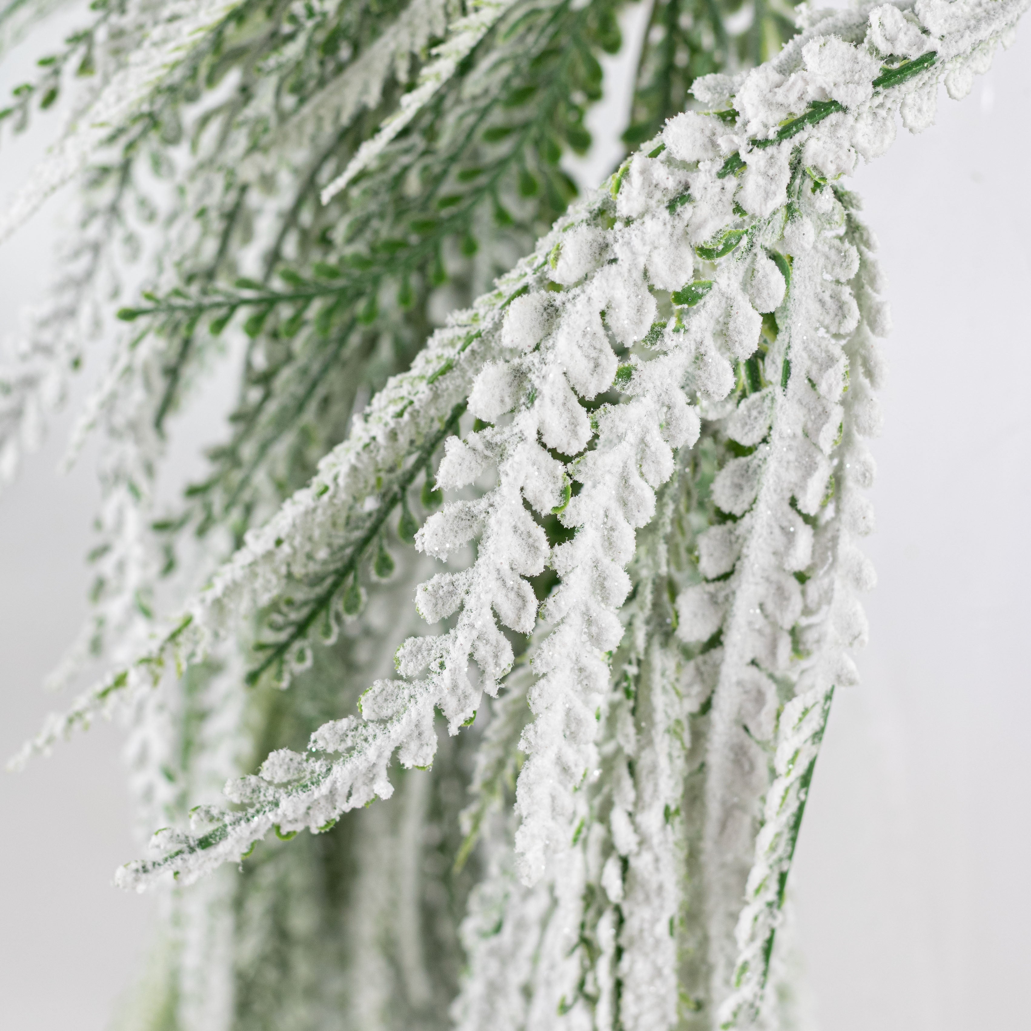 31" Plastic Leaves Button Fern Hanging Bush: Flocked Snow Green (5 Stem)