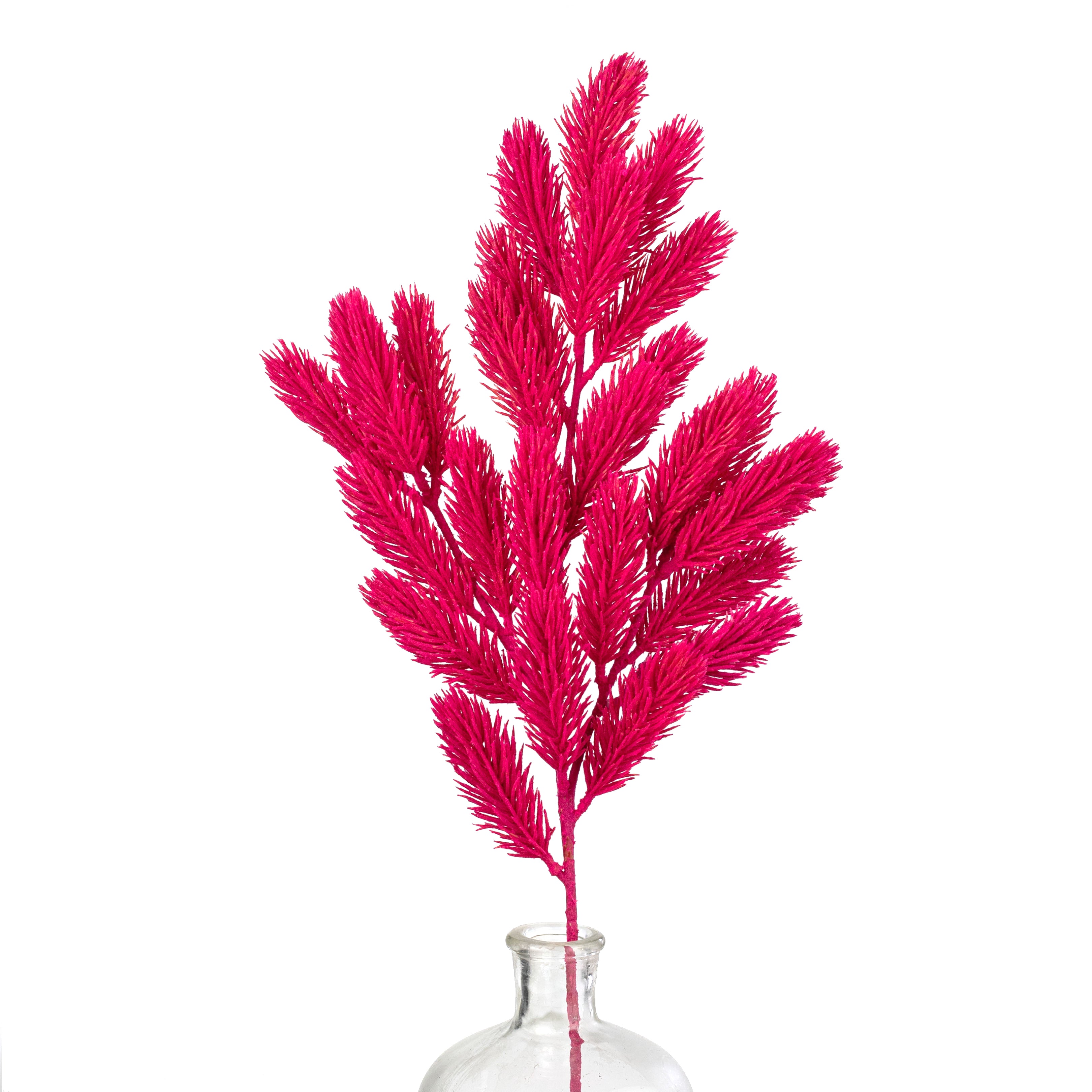 25" Flocked Noble Fir Spray: Hot Pink
