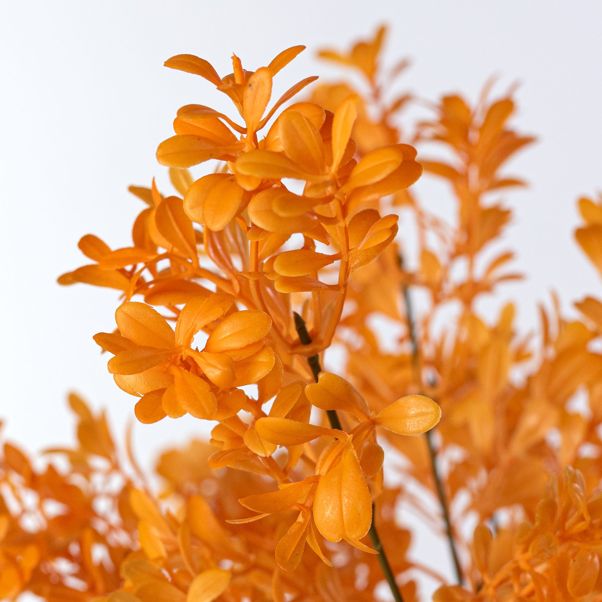 13" Boxwood Bush: Bright Orange (7 Stem)