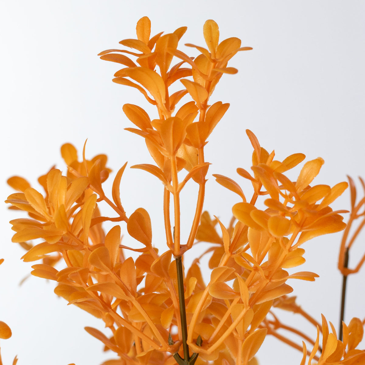 13" Boxwood Bush: Bright Orange (7 Stem)