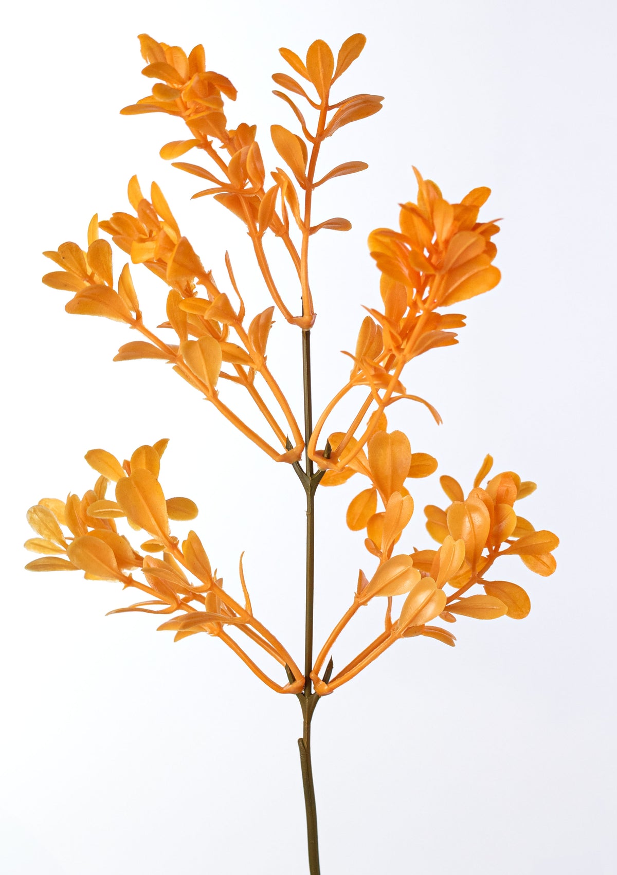 13" Boxwood Bush: Bright Orange (7 Stem)