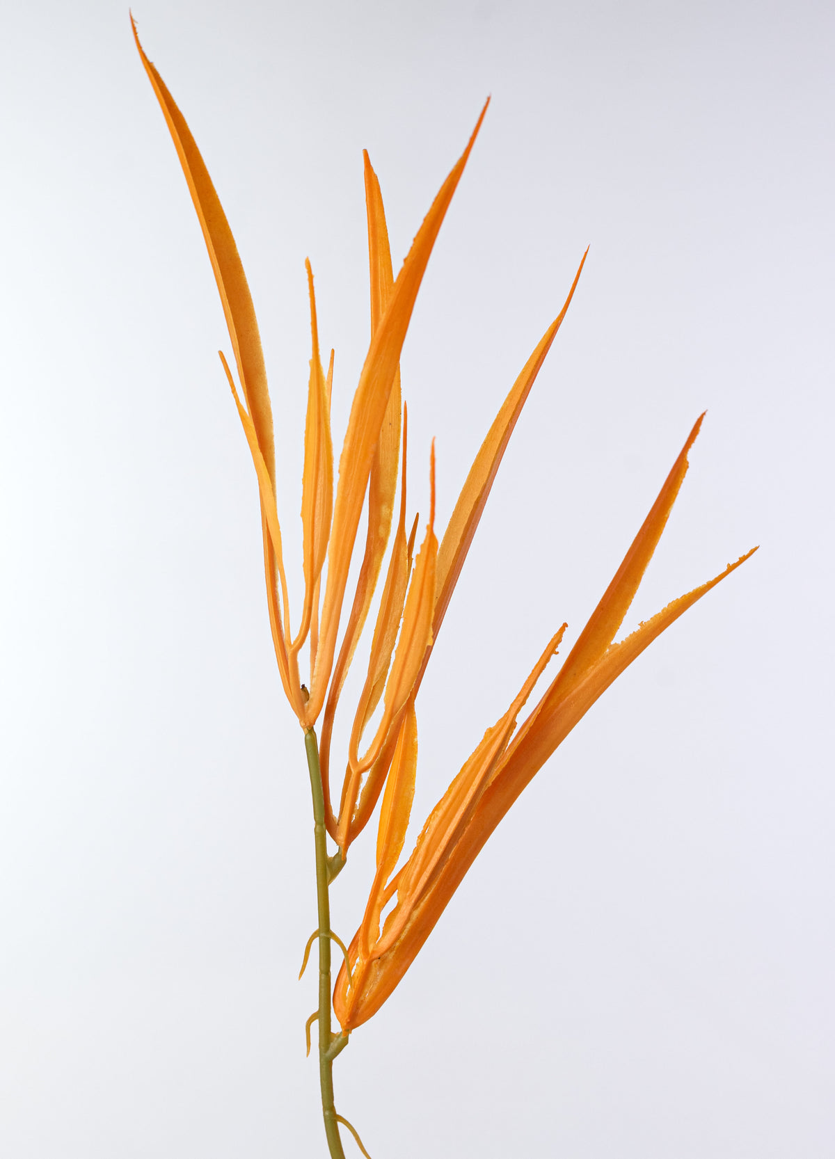 18" Grass Bush: Bright Orange (7 Stem)