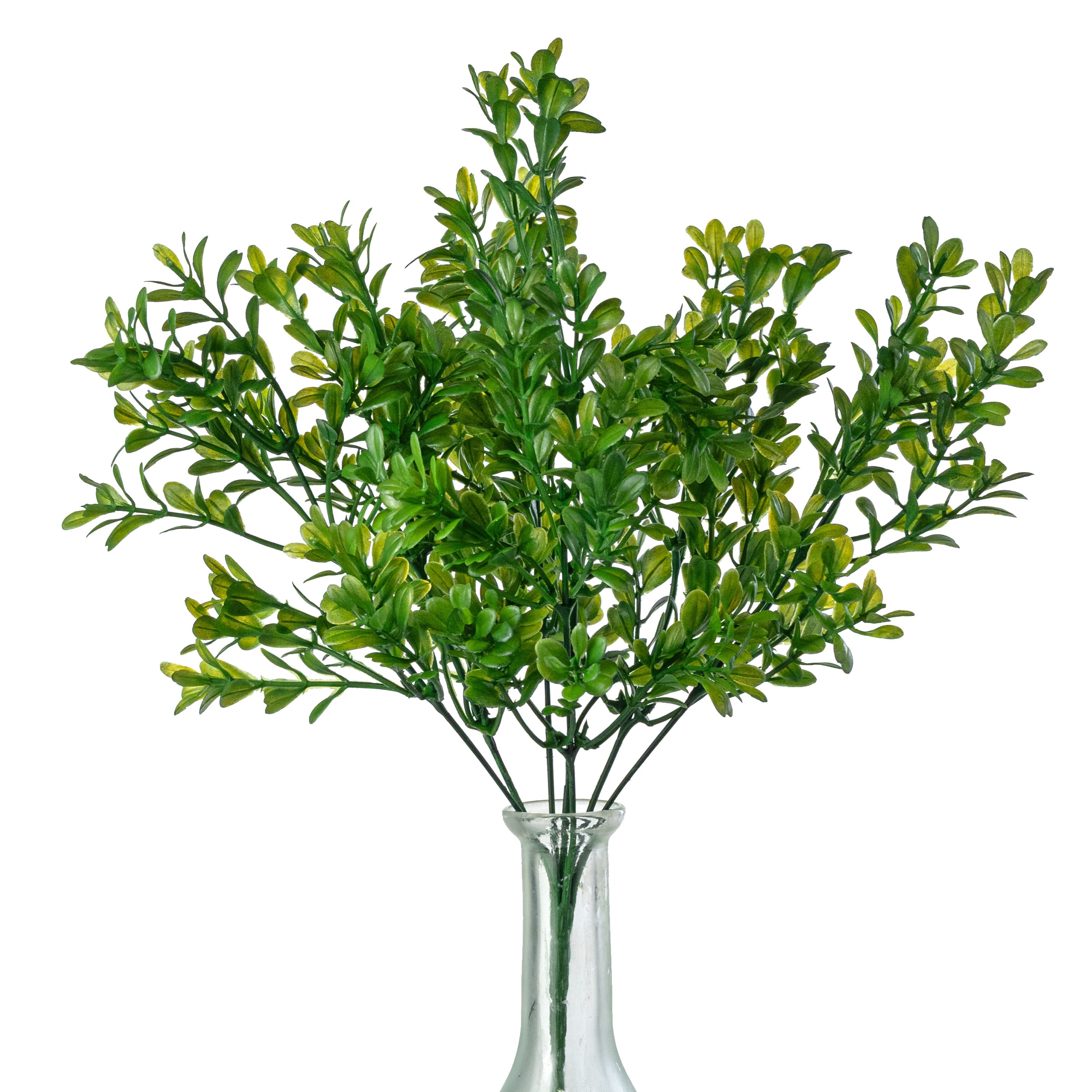 13" Boxwood Bush: Green (7 Stem)