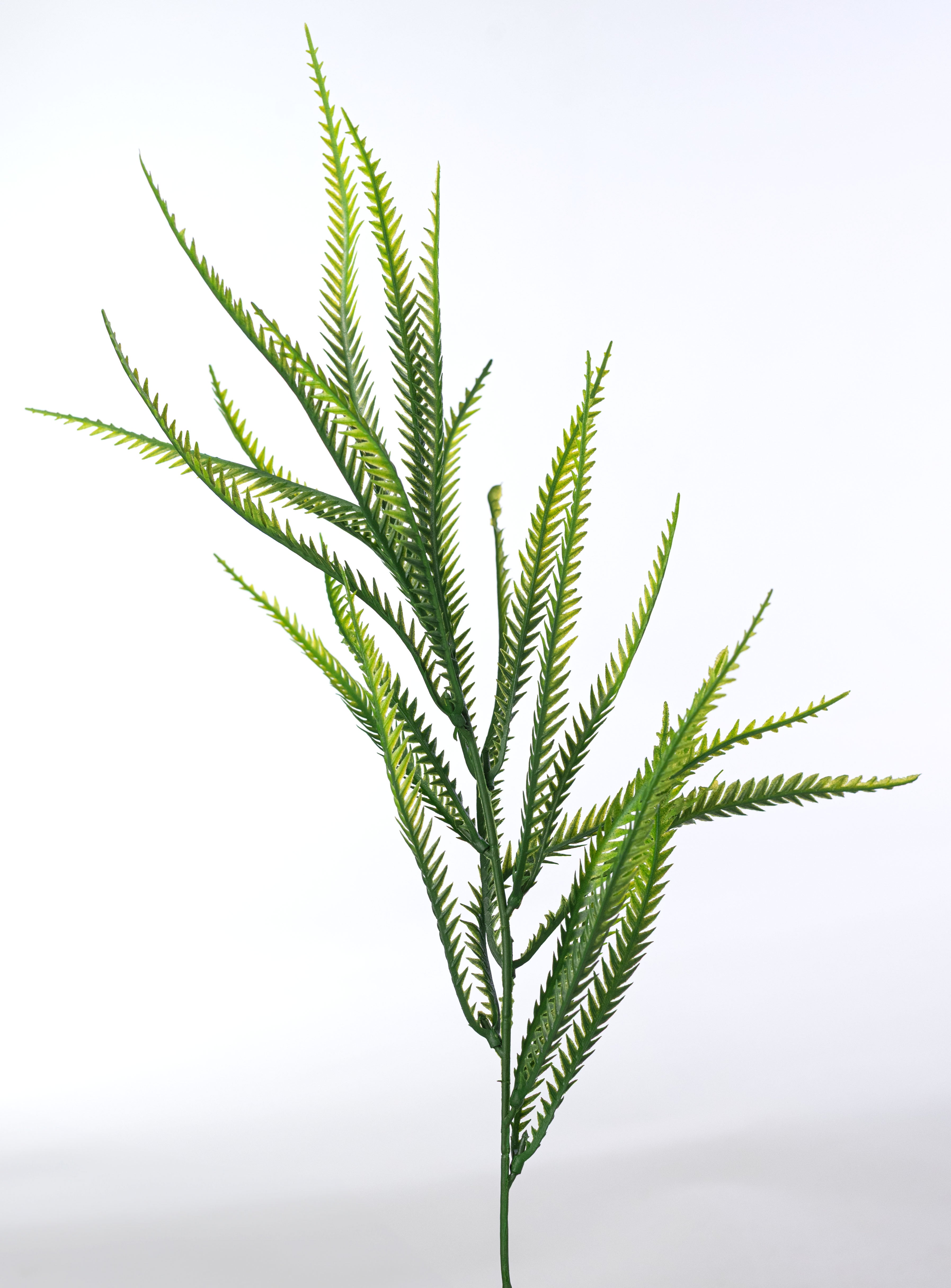 22" Soft Touch Serrated Grass Leaves Bush (7 Stem)