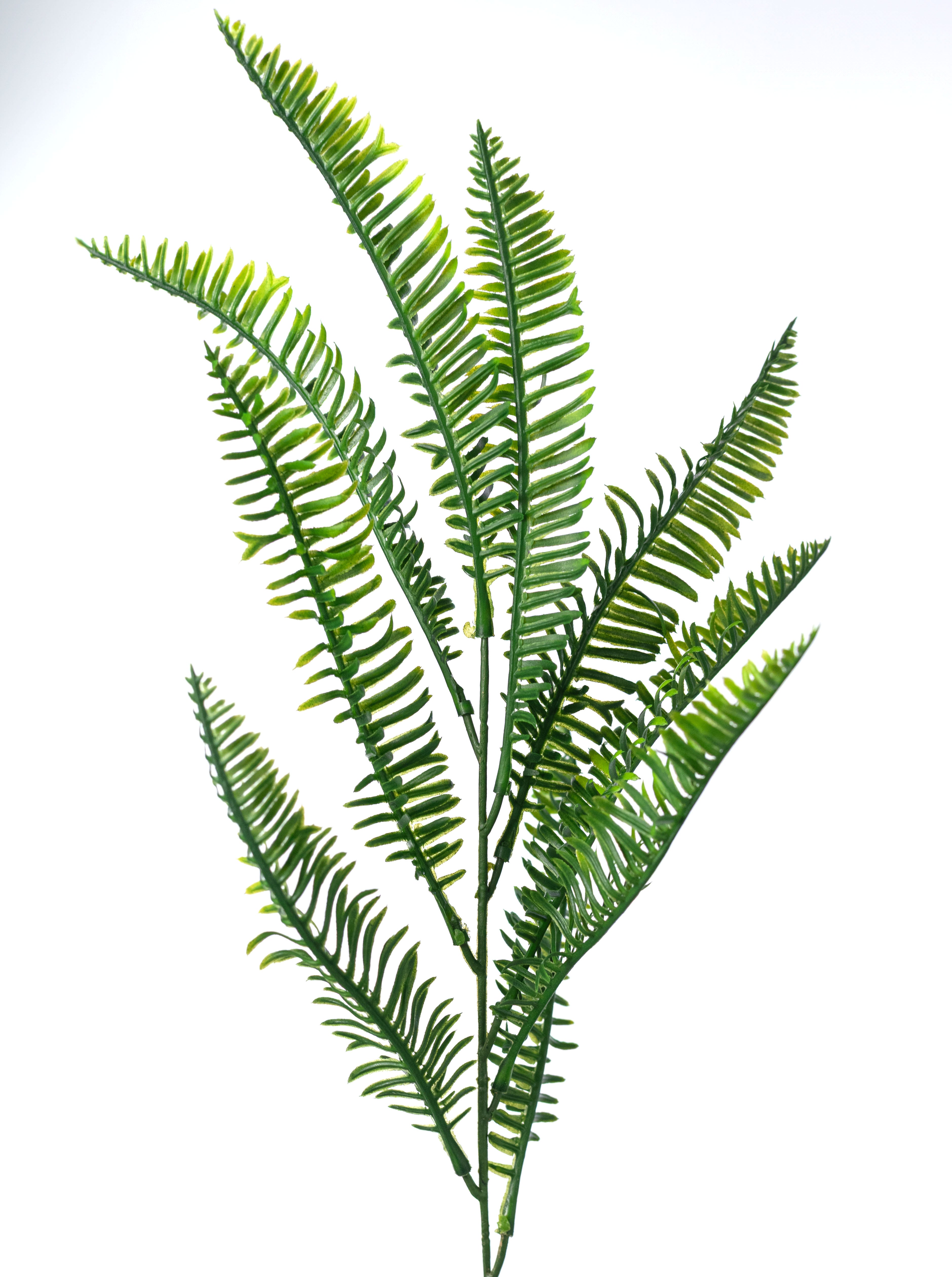 21" Soft Touch Abies Fir Bush (7 Stem)