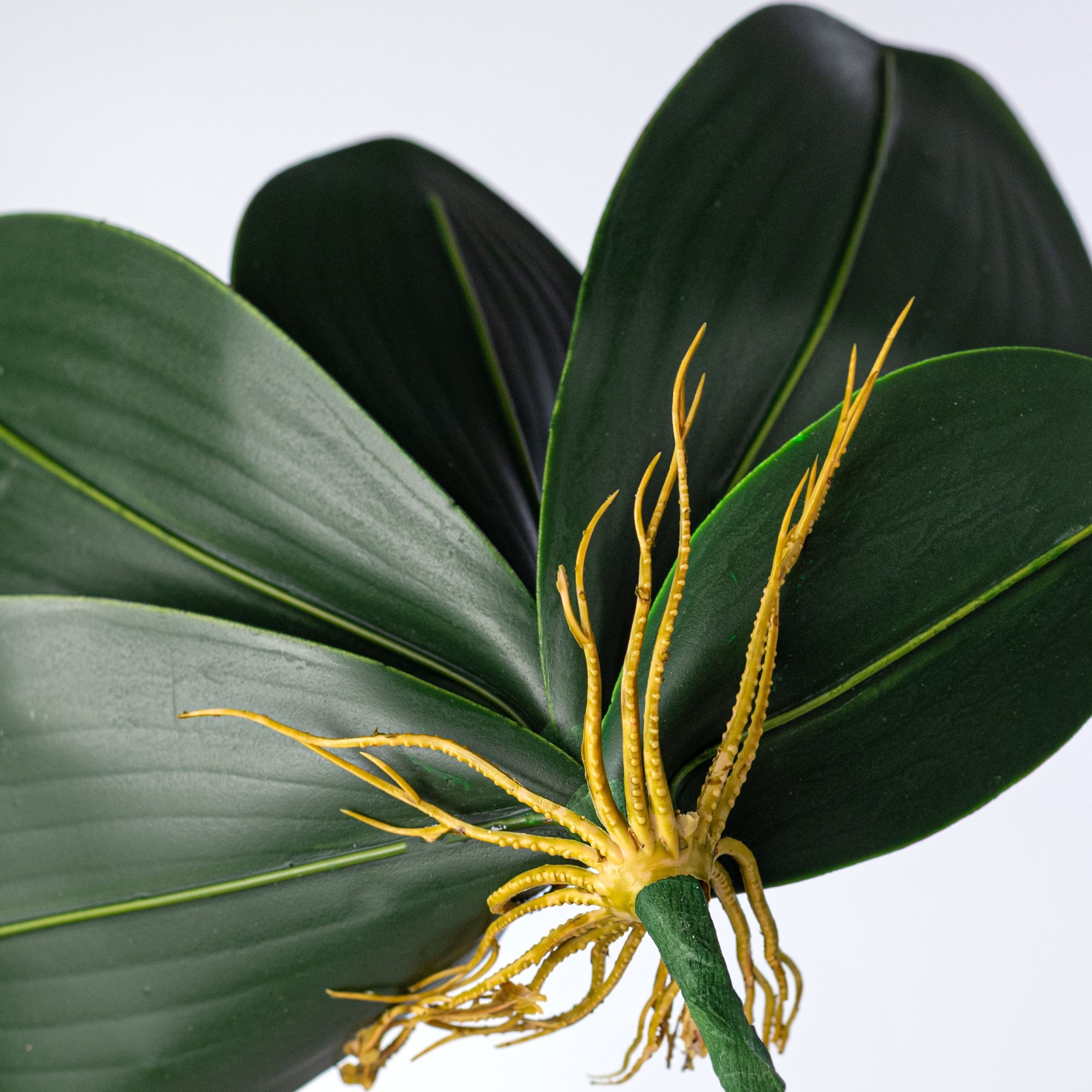 12" Plastic Orchid Leaves Bush