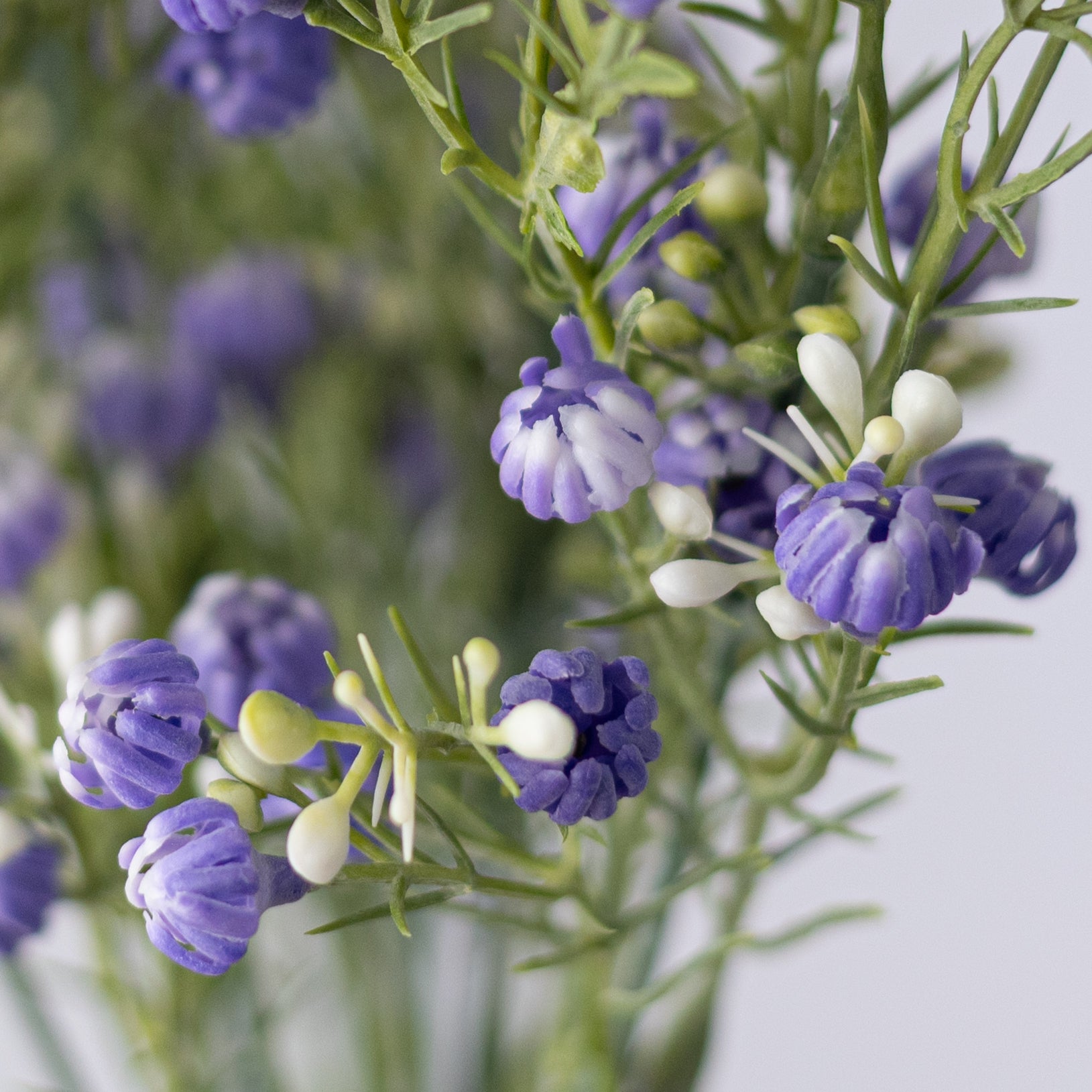 13" Closed Baby's Breath Gypsophila Bush: Lavender