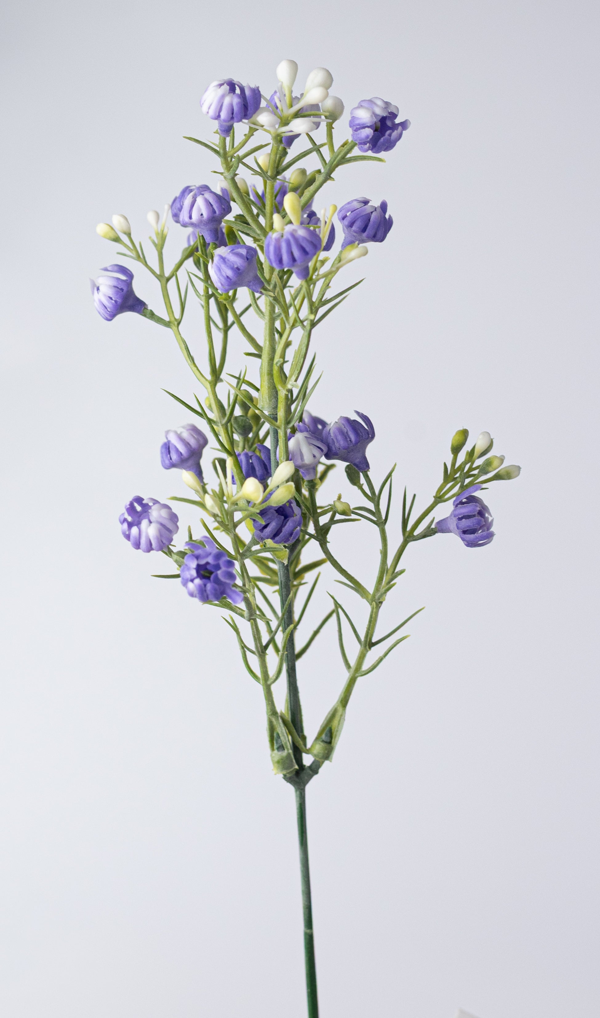 13" Closed Baby's Breath Gypsophila Bush: Lavender
