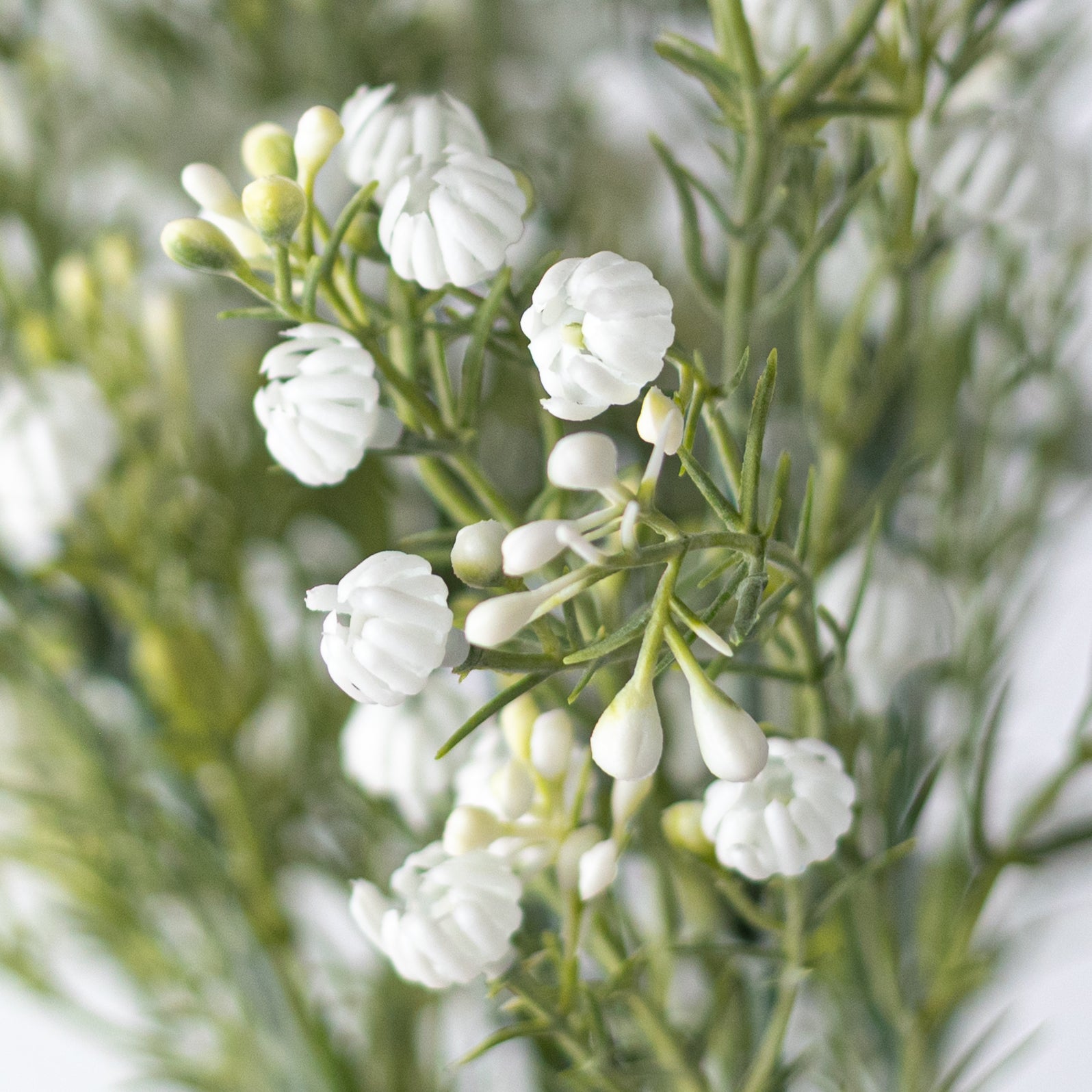 13" Closed Baby's Breath Gypsophila Bush: White