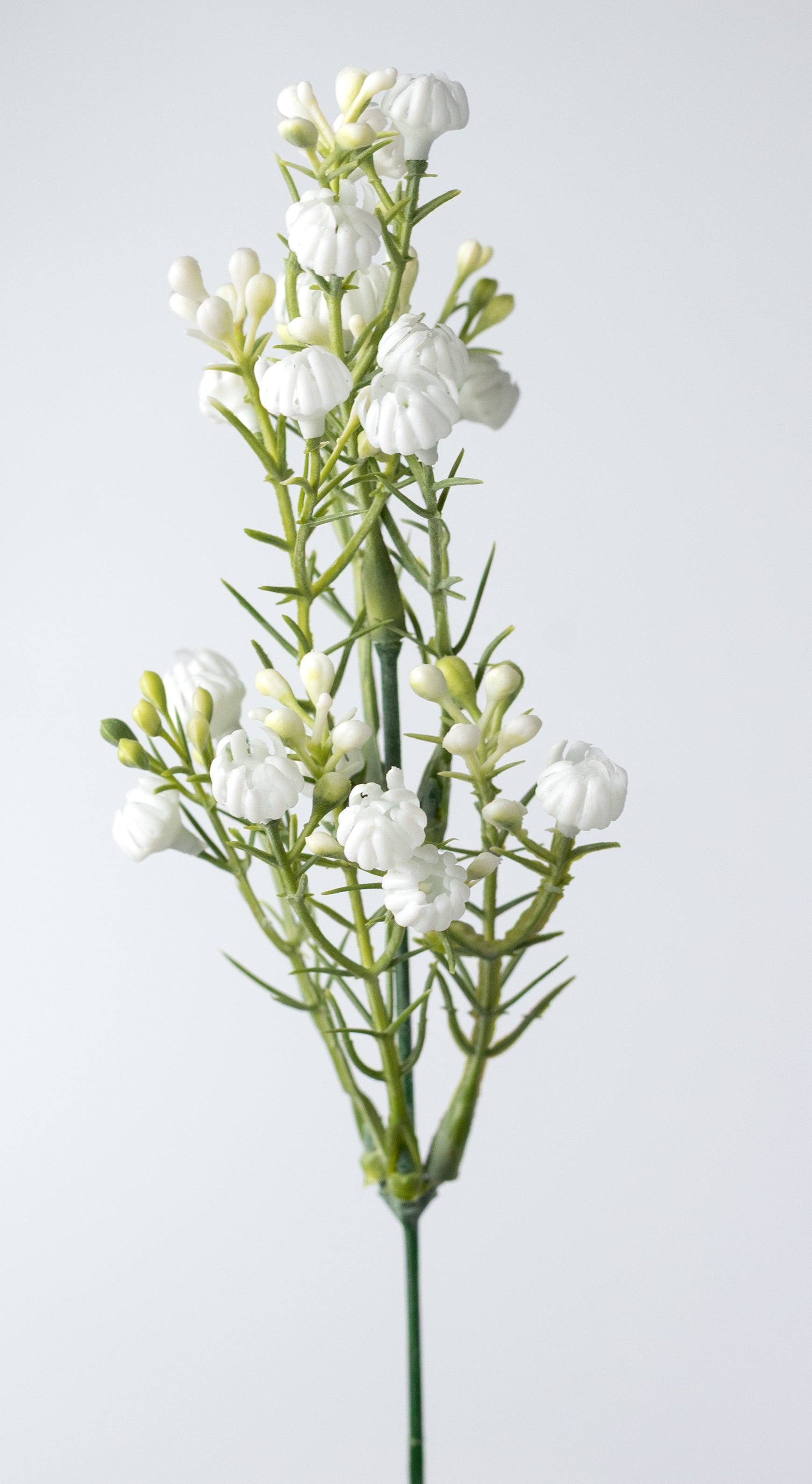 13" Closed Baby's Breath Gypsophila Bush: White