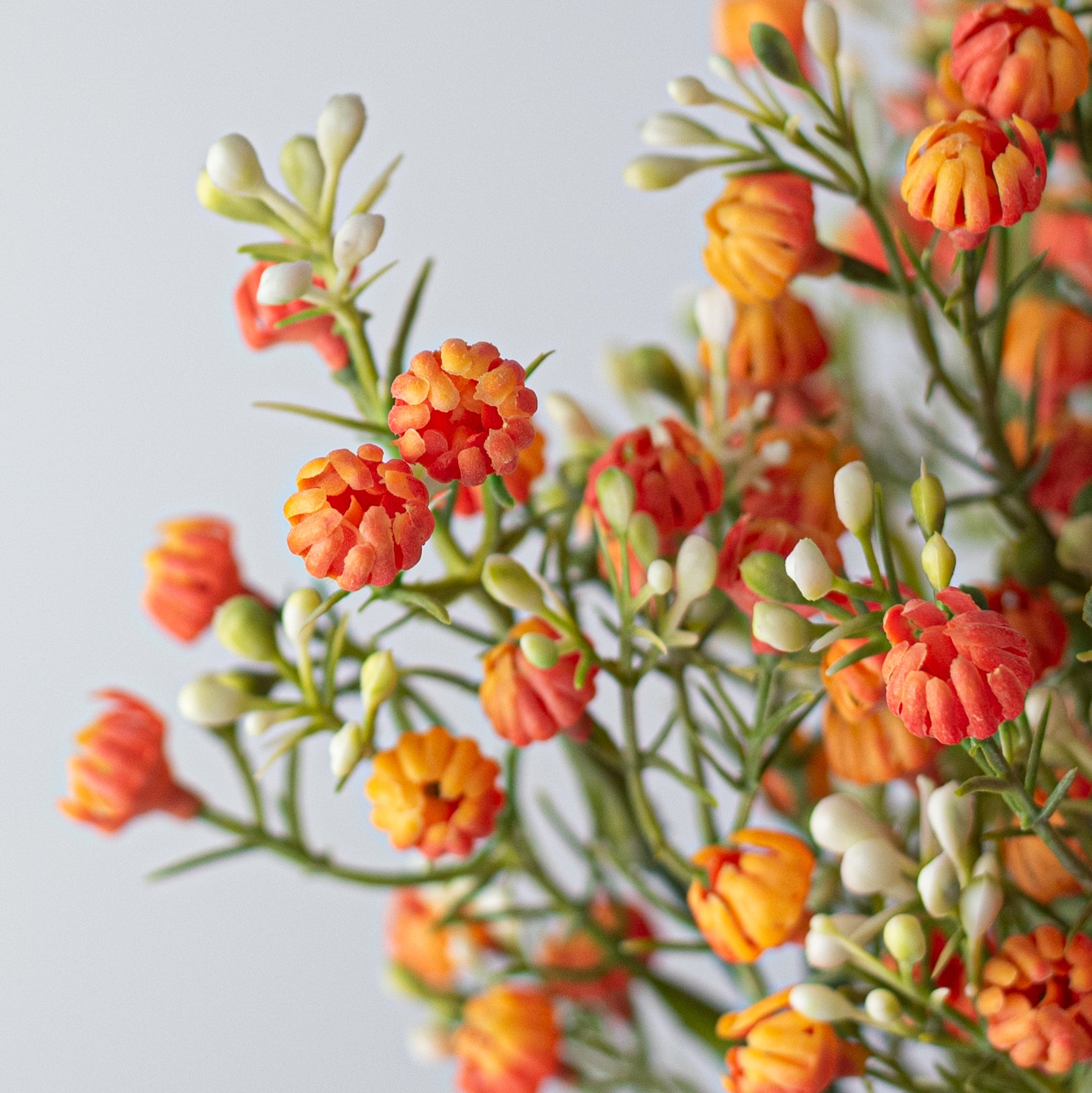13" Closed Baby's Breath Gypsophila Bush: Orange