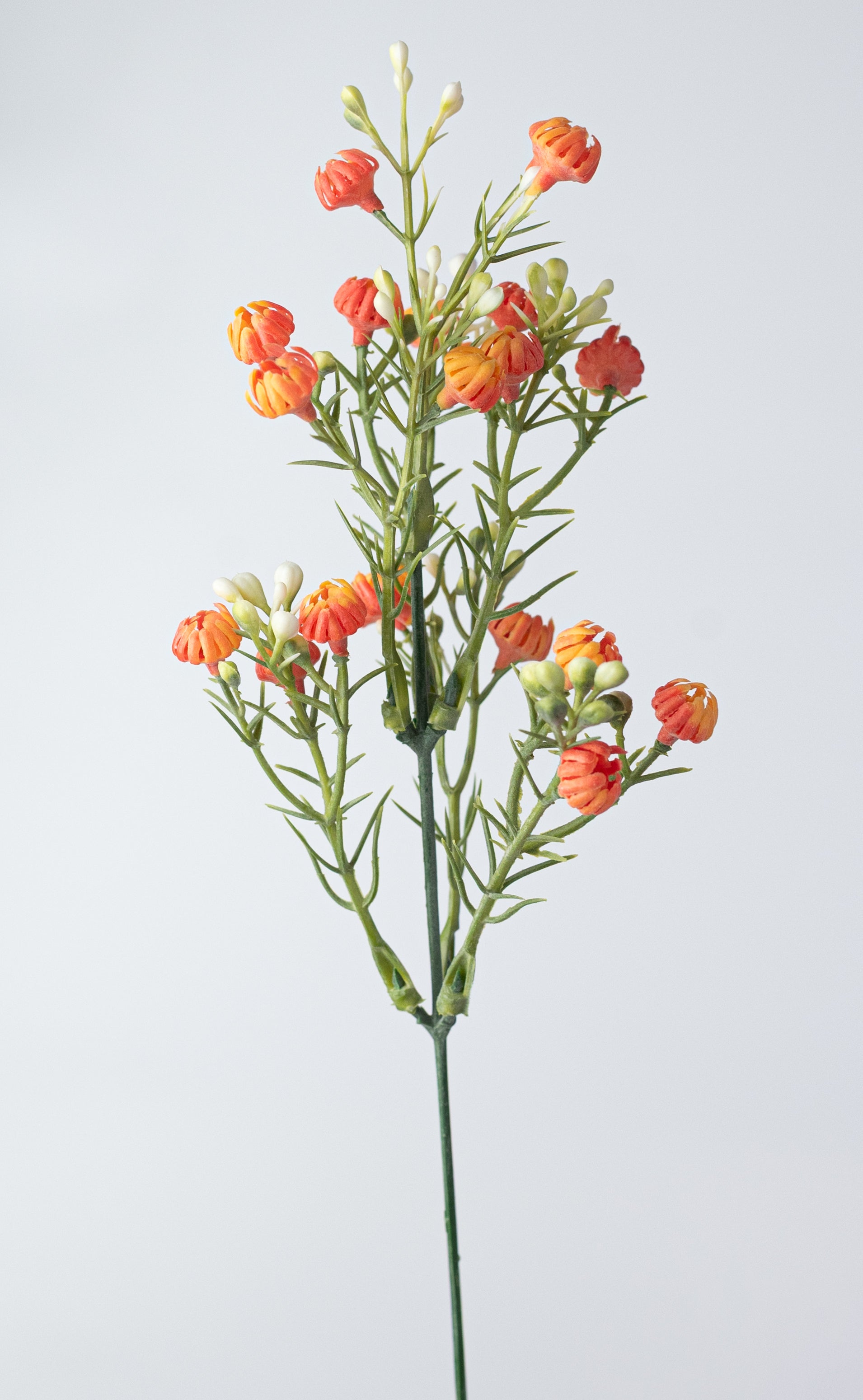 13" Closed Baby's Breath Gypsophila Bush: Orange