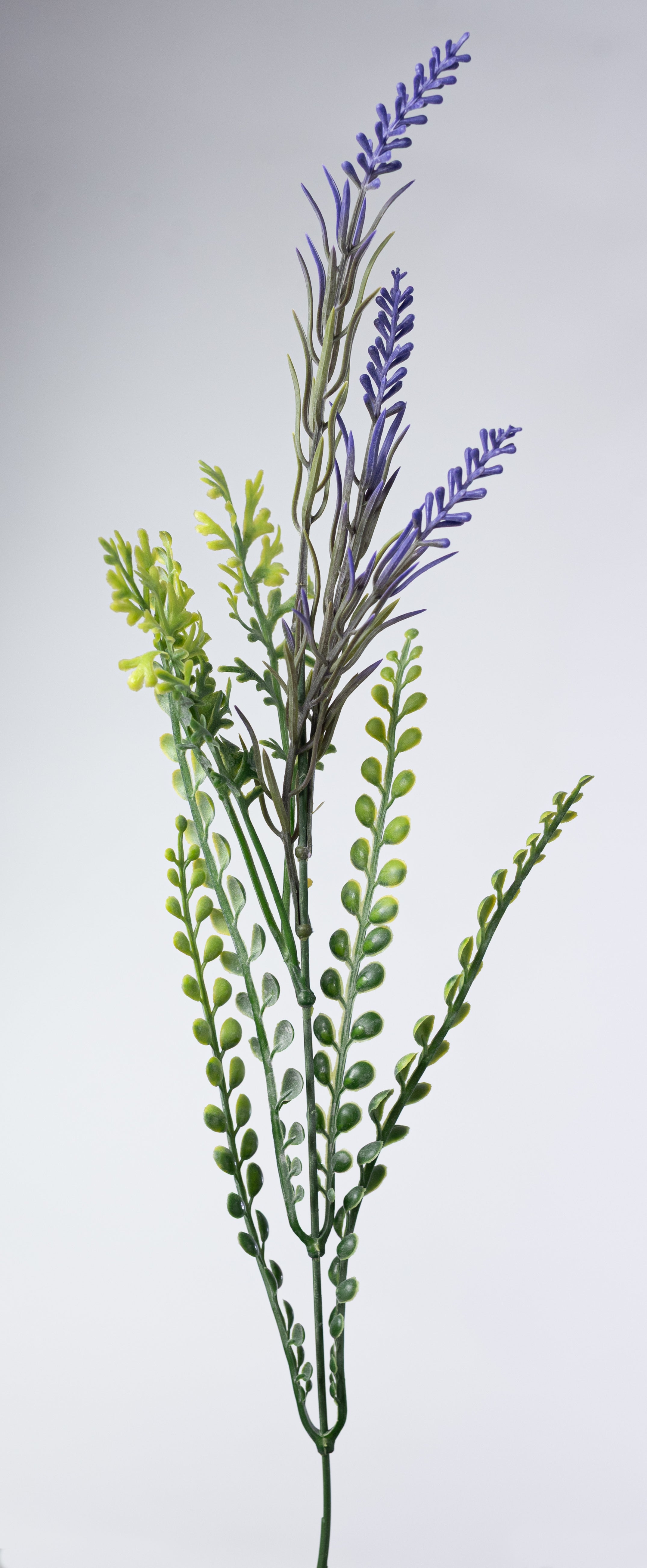 24" Button Fern & Lavender Bush (12 Stem)
