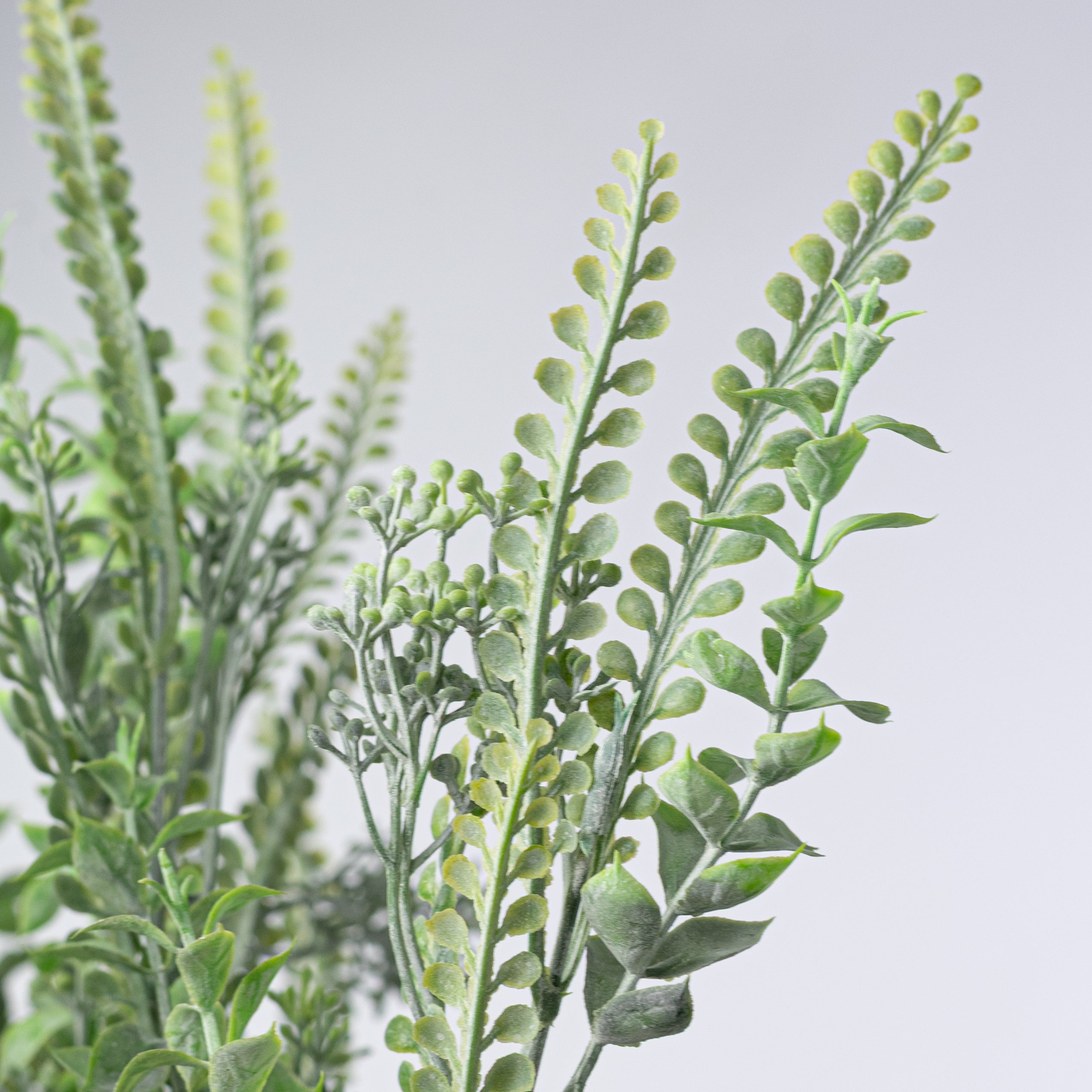23" Mixed Button Fern & Greenery Bush: Dusty Green (12 Stem)