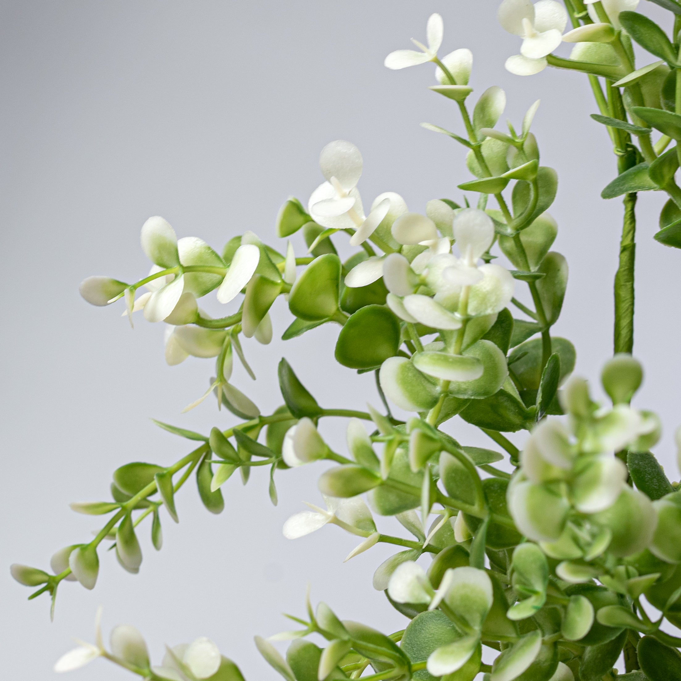 17" Plastic Eucalyptus Bush: Cream
