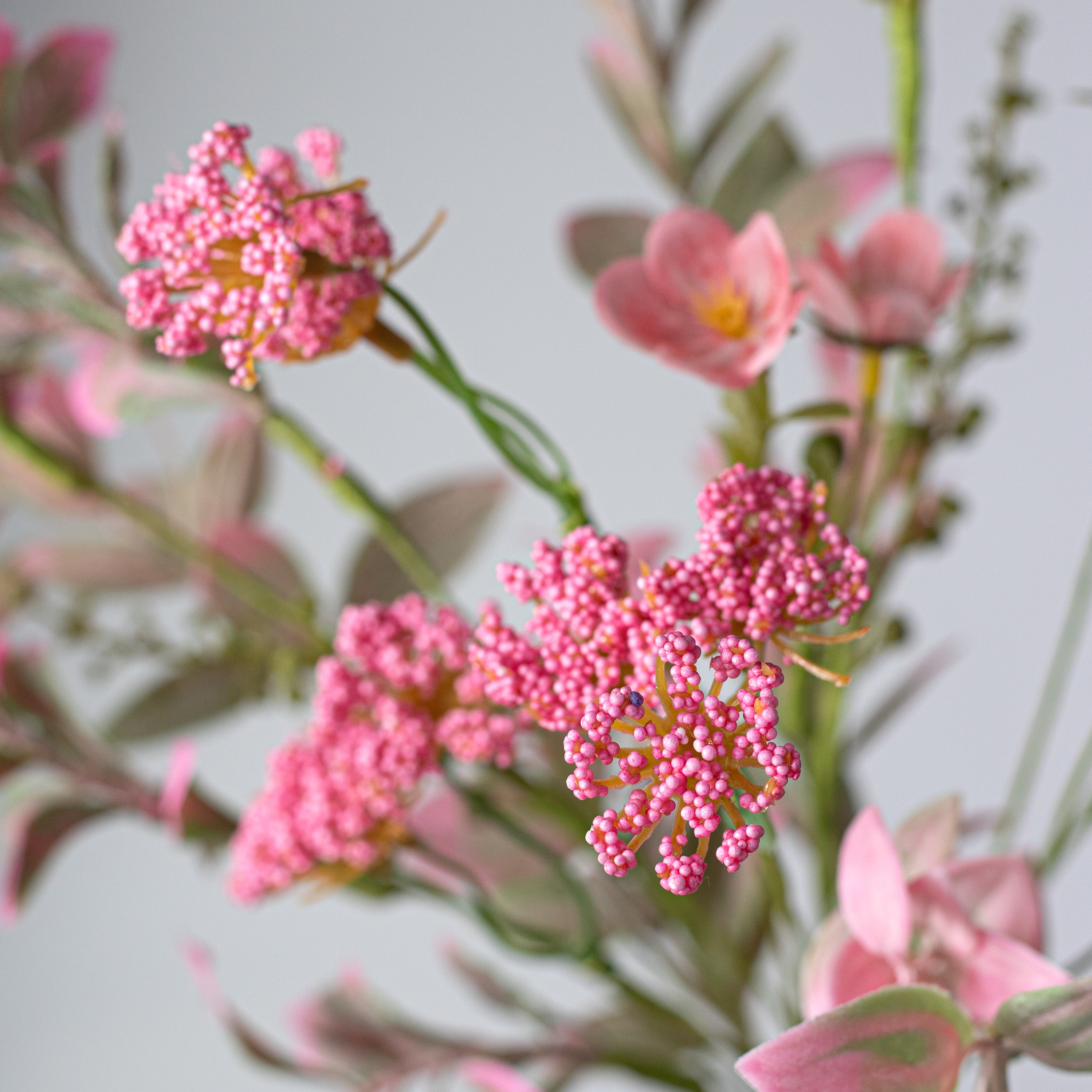 19" Queen Anne's Lace Flower Filler Bush: Pink
