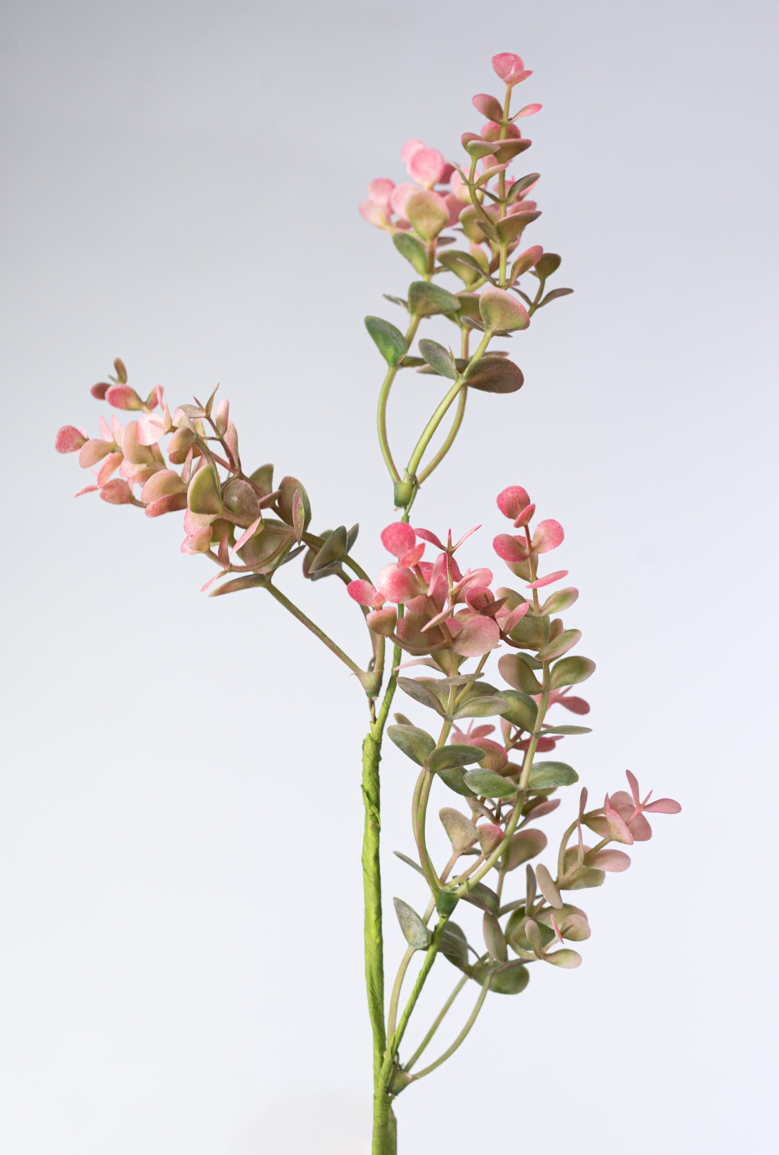 17" Plastic Eucalyptus Bush: Pink