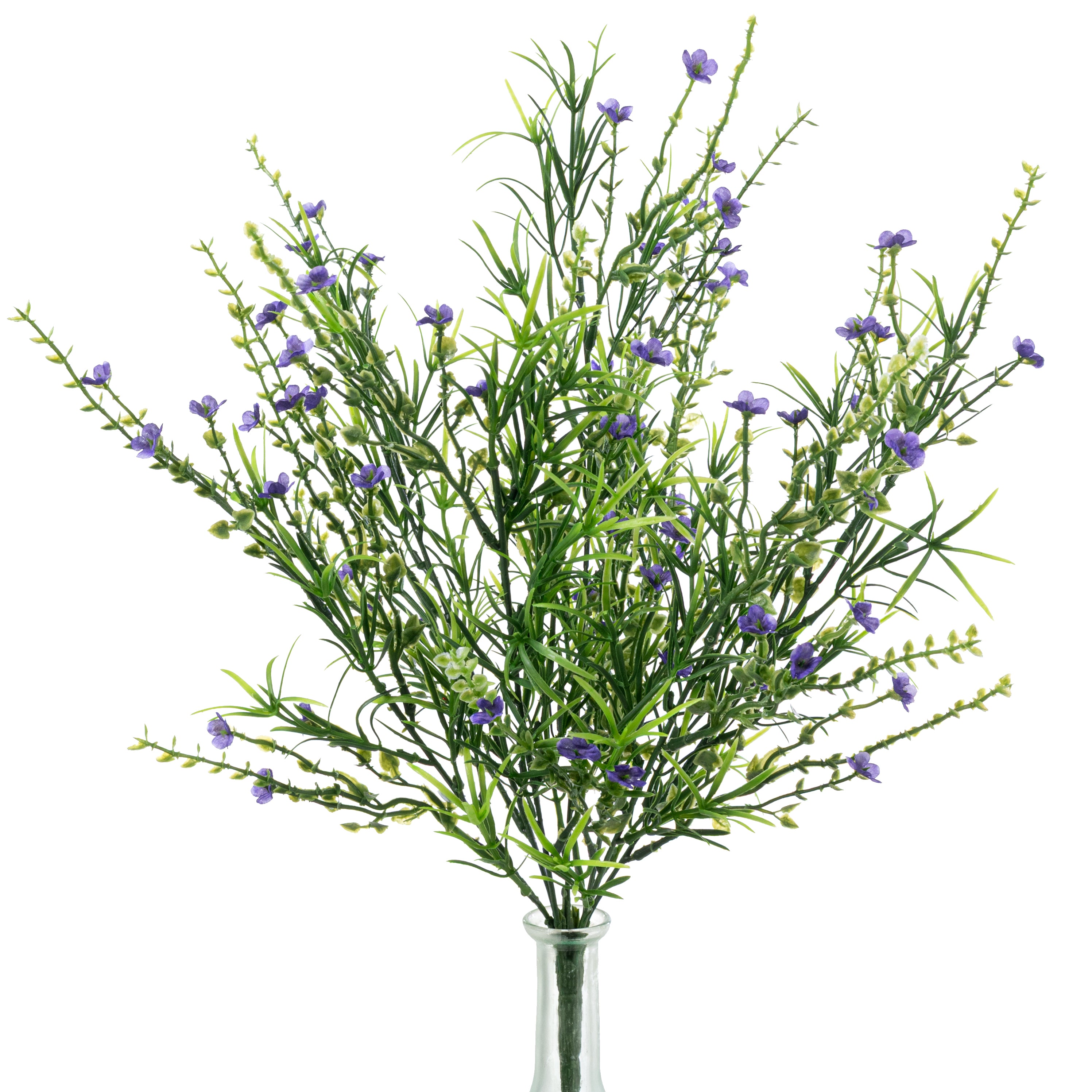 21" Mixed Forget-Me-Not Bush: Purple